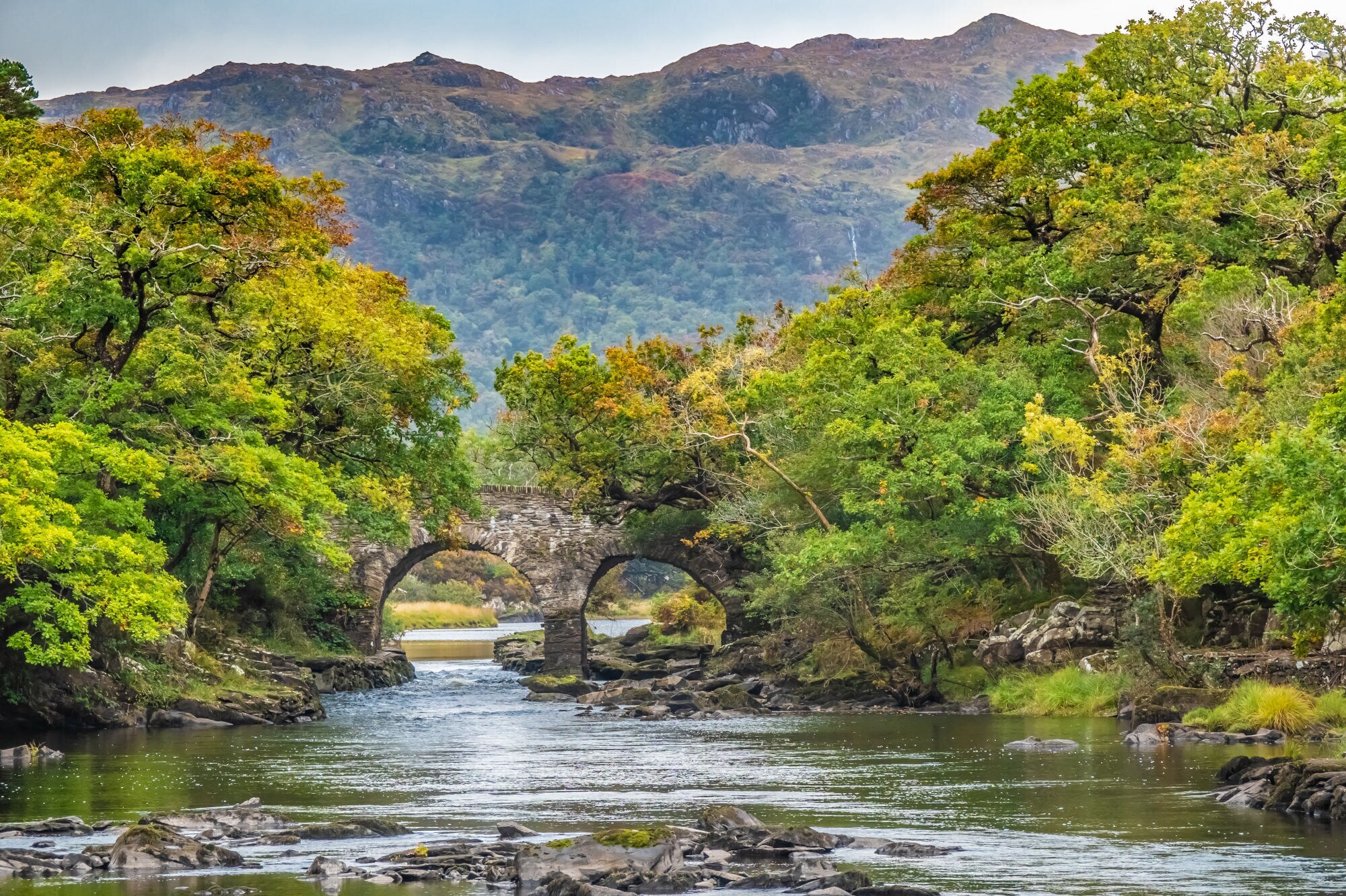 Blick auf die historische Old Weir Bridge südlich des Muckross Lake im Killarey-Nationalpark. Blick auf die historische Old Weir Bridge südlich des Muckross Lake im Killarey-Nationalpark.