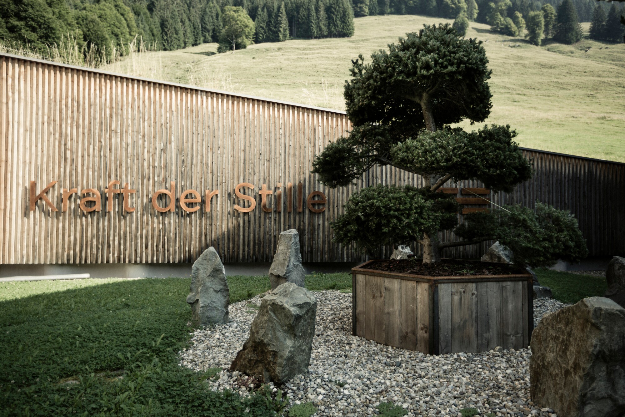 Ein angelegter Zen-Garten mit Rasen und einem, von Steinen umkreisten Bonsai inmitten der Allgäuer Berglandschaft