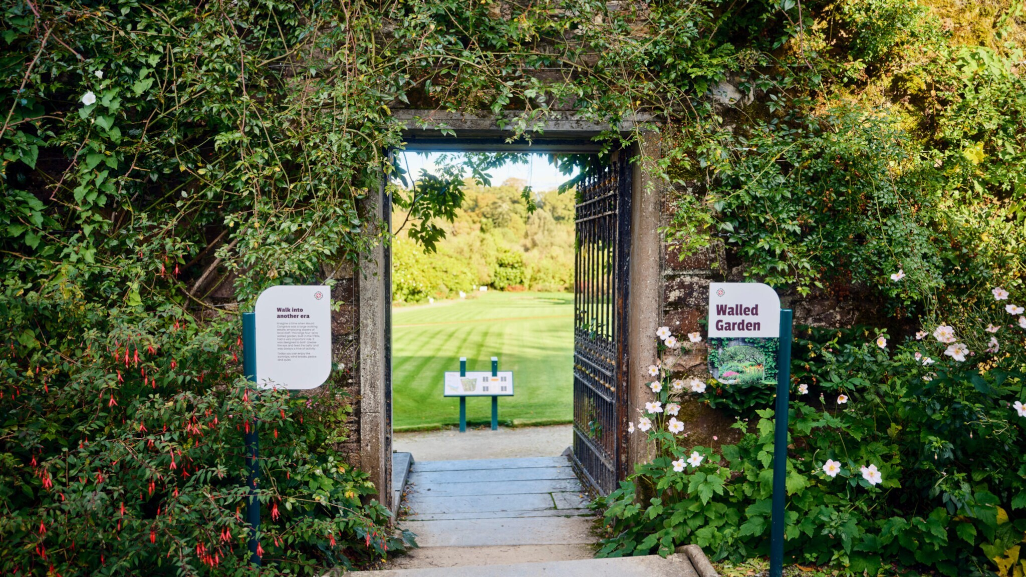 Offenes Tor in einer mit Kletterpflanzen bewachsenen Steinmauer, Blick auf gepflegten Rasen im Mount Congreve Estate Gardens, Co Waterford. Zwei Schilder mit Text, eines trägt die Aufschrift Offenes Tor in einer mit Kletterpflanzen bewachsenen Steinmauer, Blick auf gepflegten Rasen im Mount Congreve Estate Gardens, Co Waterford. Zwei Schilder mit Text, eines trägt die Aufschrift 'Walled Garden'.