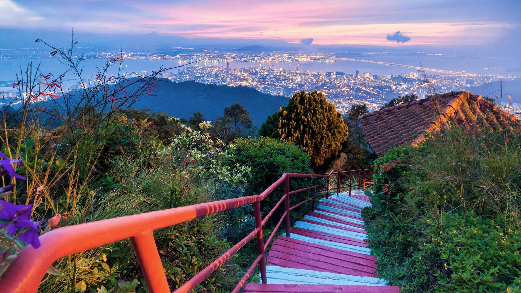 Blick von einer pink-weiß lackierten Holztreppe in bewaldeter Berglandschaft auf die Lichter einer Großstadt am Meer bei Sonnenuntergang.