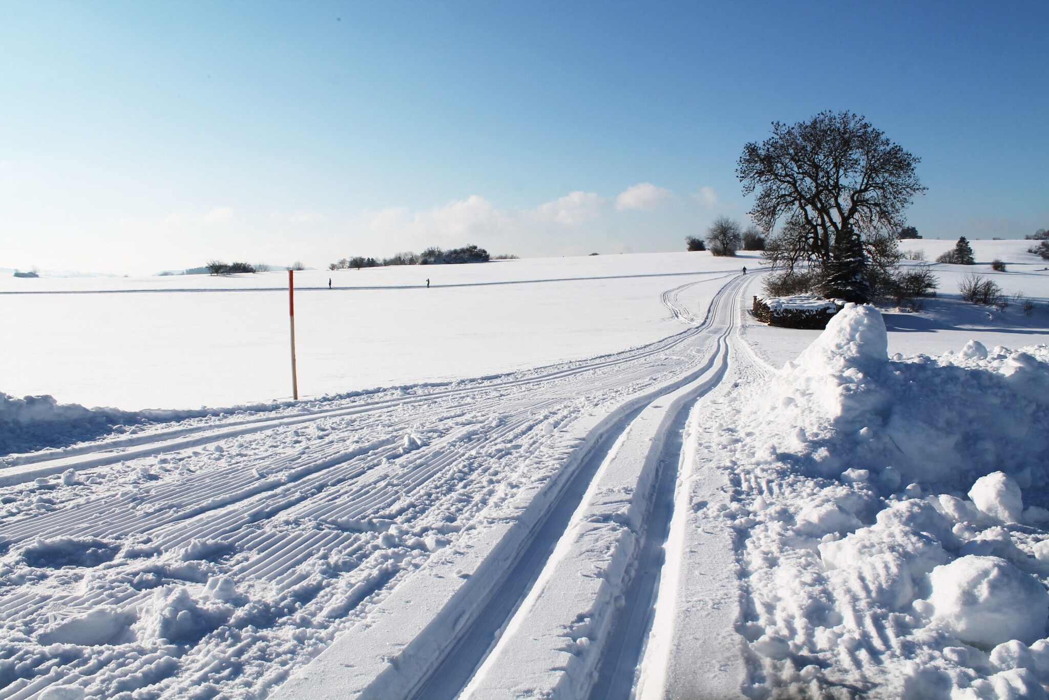 Langlaufloipen in einer Schneelandschaft bei Sonnenschein.