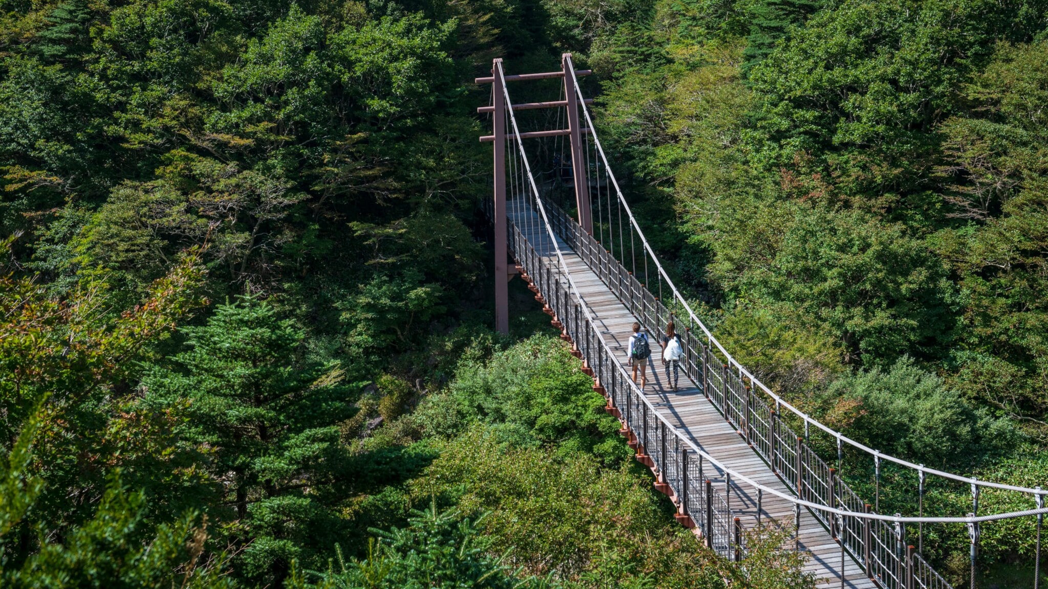 Hölzerne Hängebrücke, auf der sich zwei Personen befinden, führt in einen Wald auf dem Wanderweg Gwaneumsa auf der Insel Jejudo in Südkorea. Hölzerne Hängebrücke, auf der sich zwei Personen befinden, führt in einen Wald auf dem Wanderweg Gwaneumsa auf der Insel Jejudo in Südkorea.