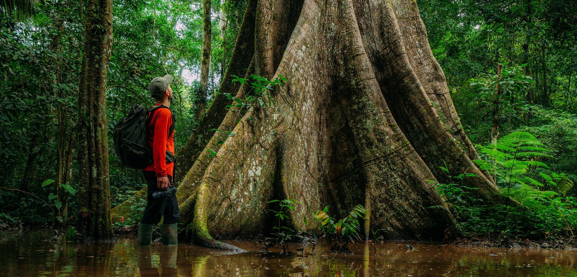 Die Welt als Leinwand: Wie das Reisen zur Profession wurde Dennis Schmelz steht mit seiner Kameraausrüstung in einem tropischen Sumpf