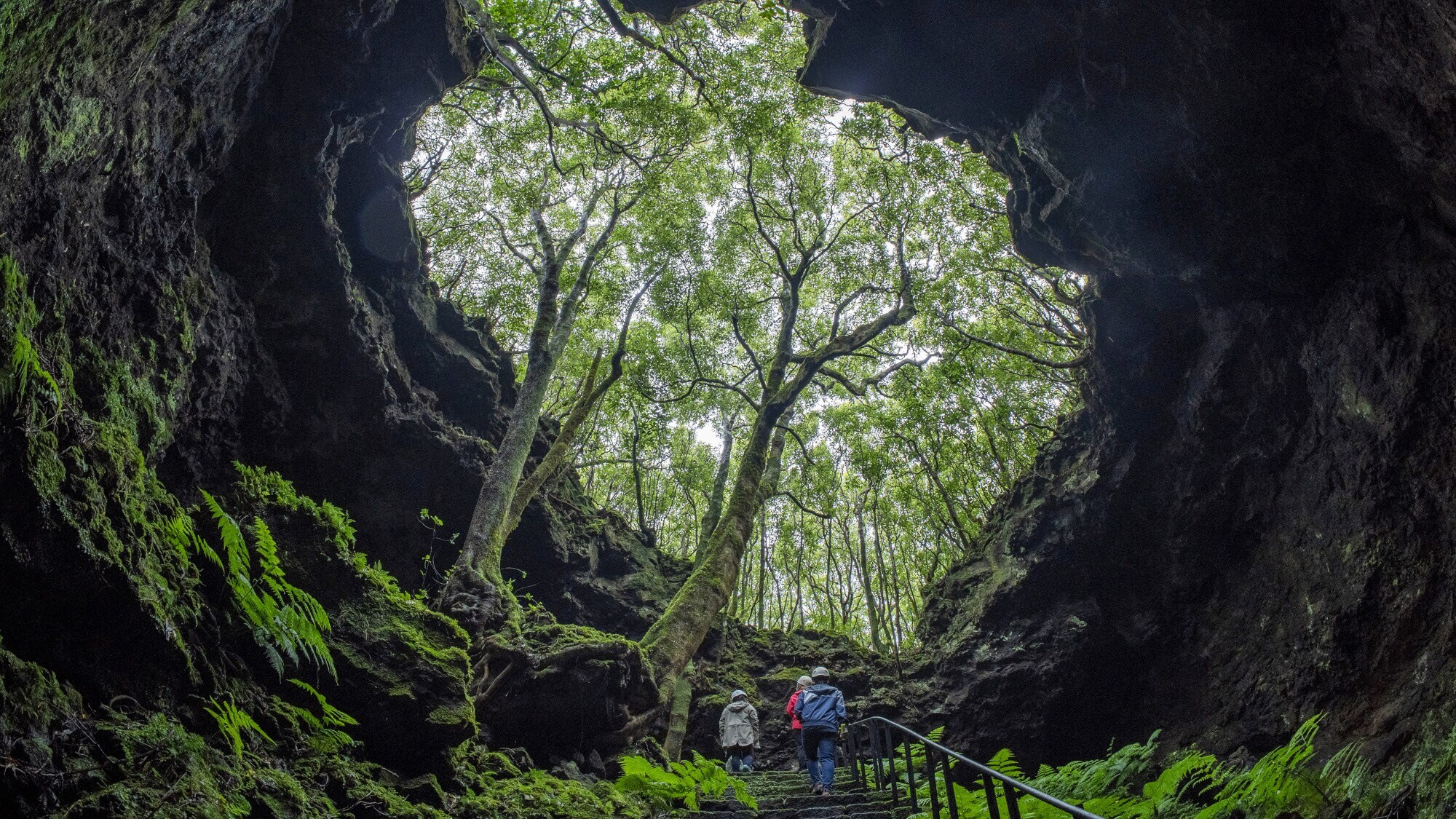 Drei Personen auf einer Treppe am Eingang einer Lavahöhle mit Bäumen.