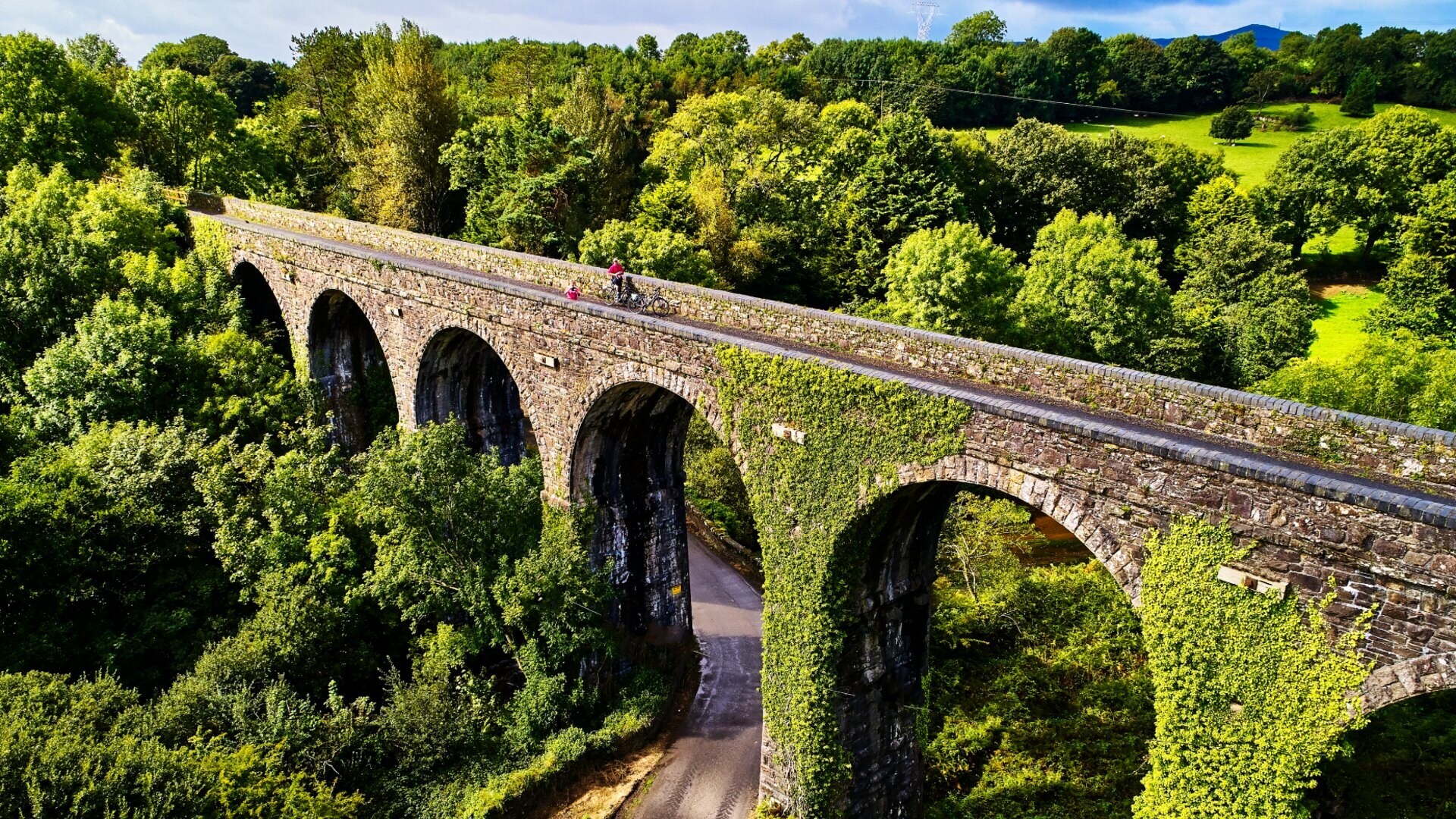 Blick von oben auf ein Viadukt inmitten einer grünen Landschaft.