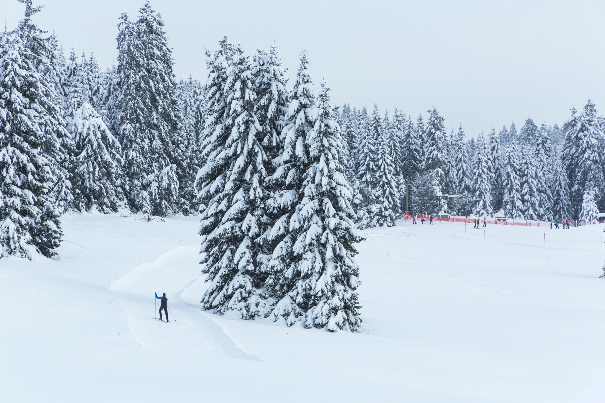 Winterlandschaft mit schneebedecktem Nadelwald und einer Loipe, auf der eine Person fährt