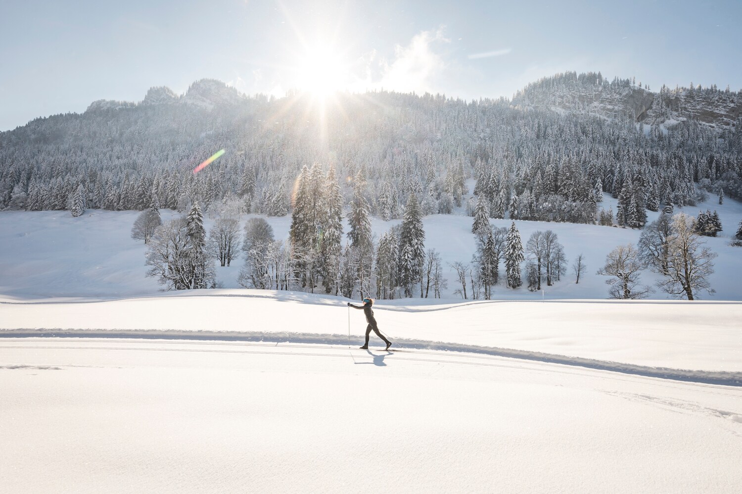 Eine Person beim Langlaufen, im Hintergrund schneebedeckter Wald