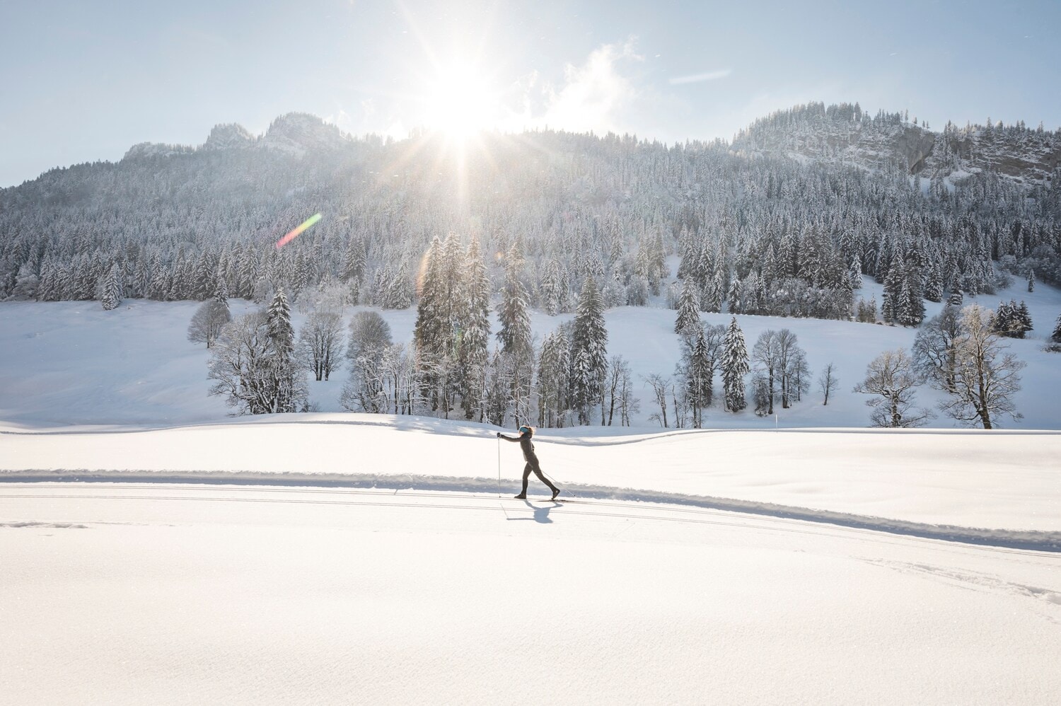 Eine Person beim Langlaufen, im Hintergrund schneebedeckter Wald Eine Person beim Langlaufen, im Hintergrund schneebedeckter Wald