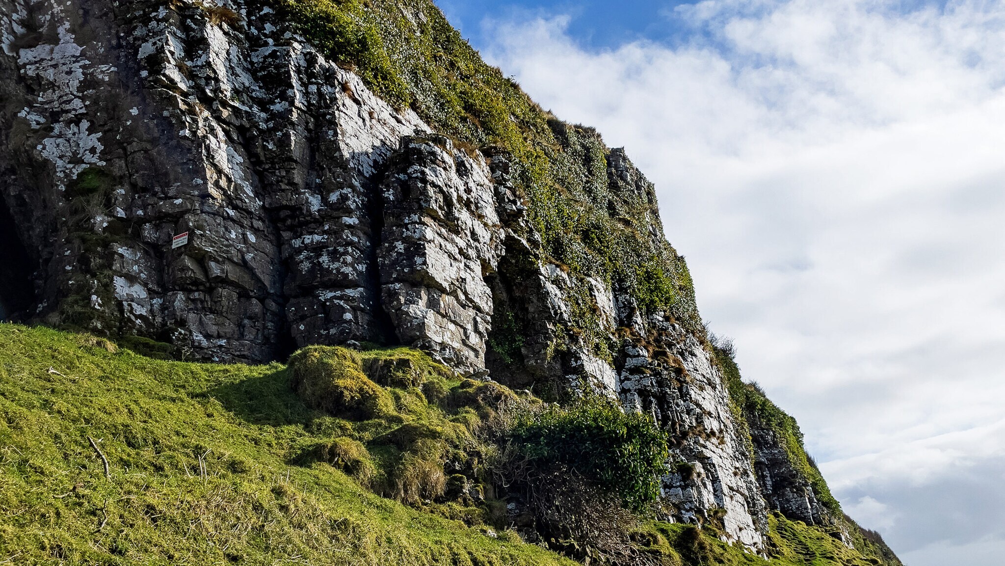 Ein Hügel aus weißem und grauem Stein ist bewachsen mit Gras und kleinen, flachen Sträuchern.