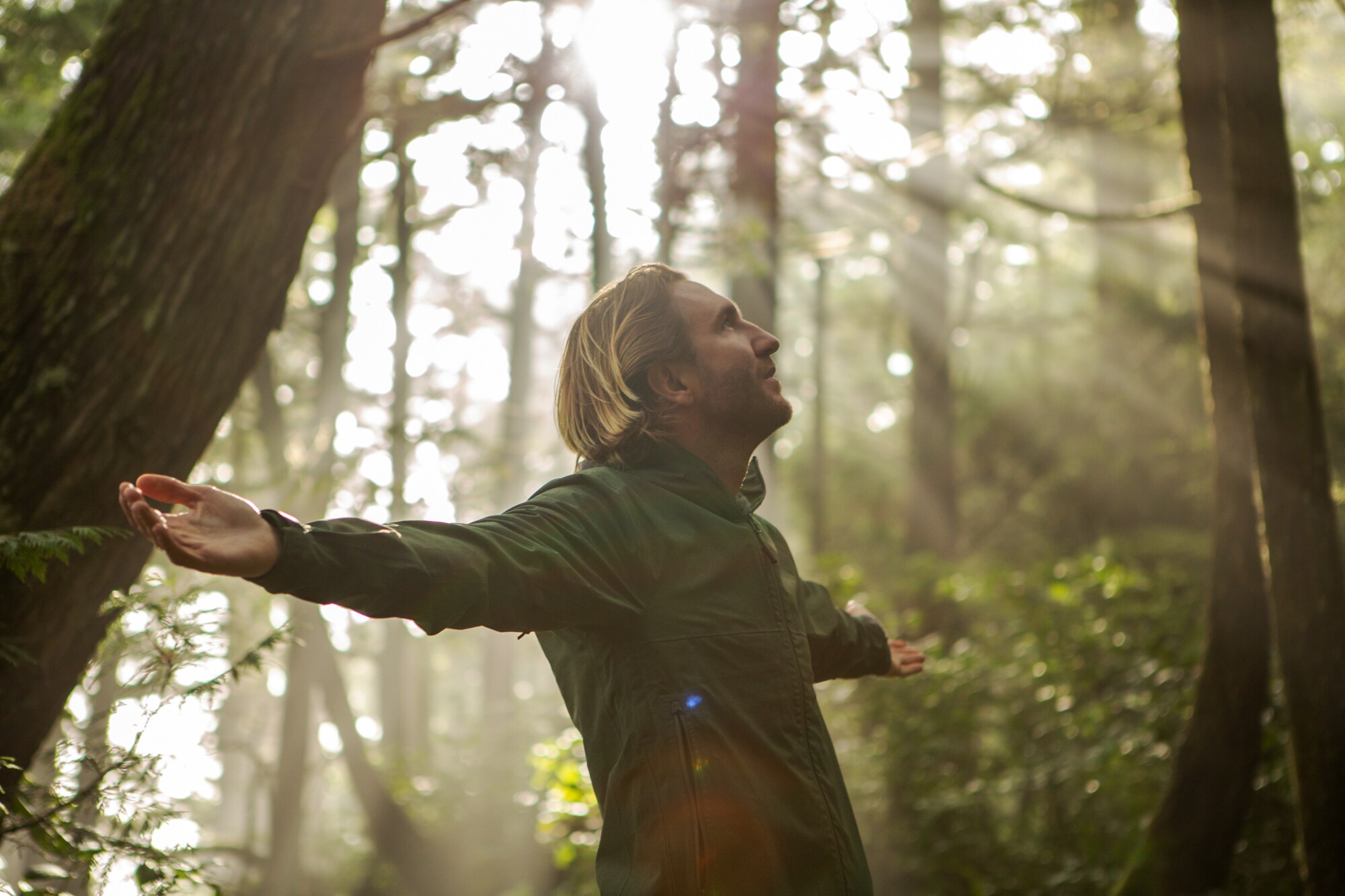 Ein Mann steht mit ausgebreiteten Armen im lichtdurchfluteten Wald und schaut nach oben