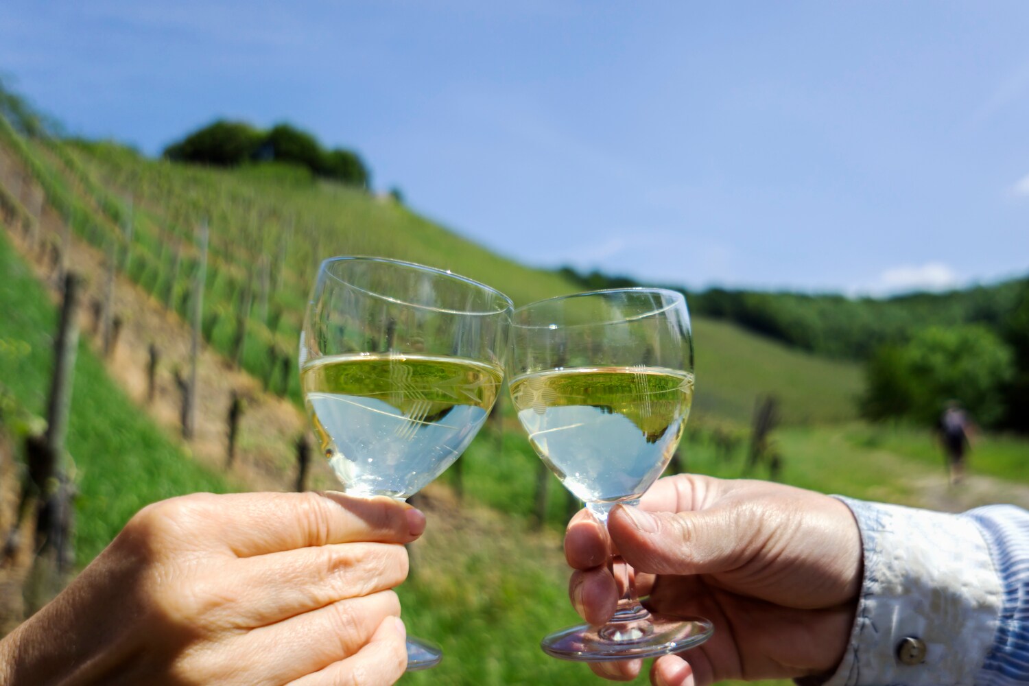 Zwei Menschen prosten sich mit einem Glas Weißwein zu