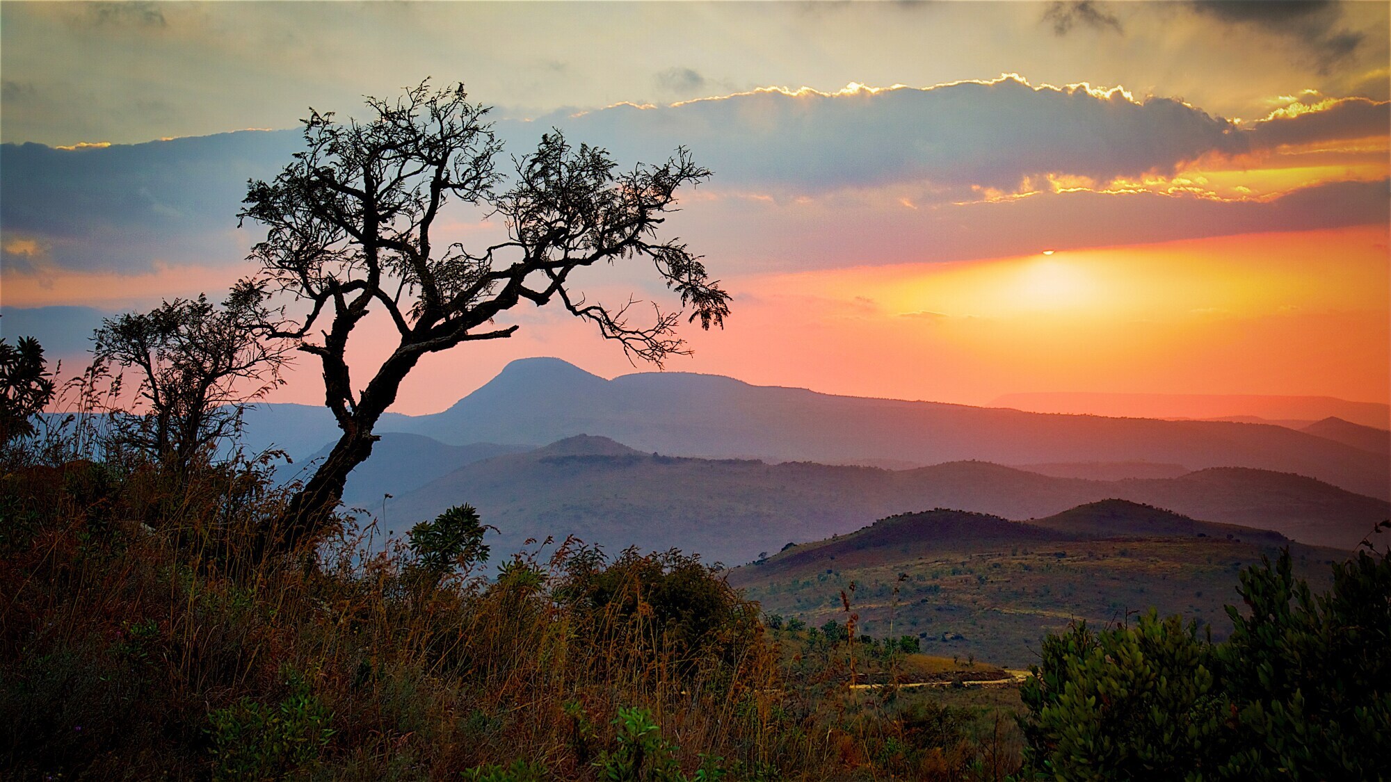Sonnenaufgang über der Savanne im Kruger Nationalpark Sonnenaufgang über der Savanne im Kruger Nationalpark