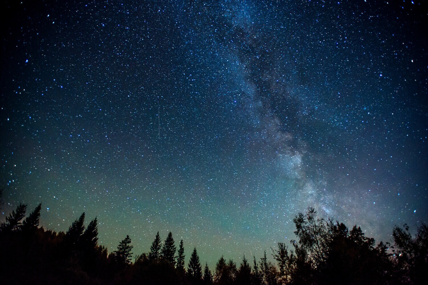 Nächtlicher Sternenhimmel mit Milchstraße, im Vordergrund Tannen Nächtlicher Sternenhimmel mit Milchstraße, im Vordergrund Tannen