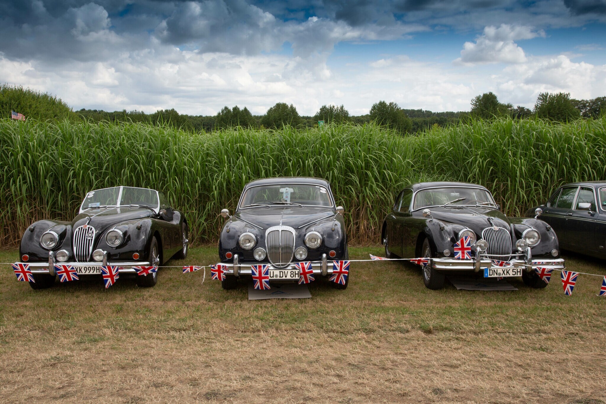 Drei unterschiedliche Jaguar-Modelle nebeneinander vor hohem Gras und durch eine Girlande mit britischen Flaggen abgegrenzt.