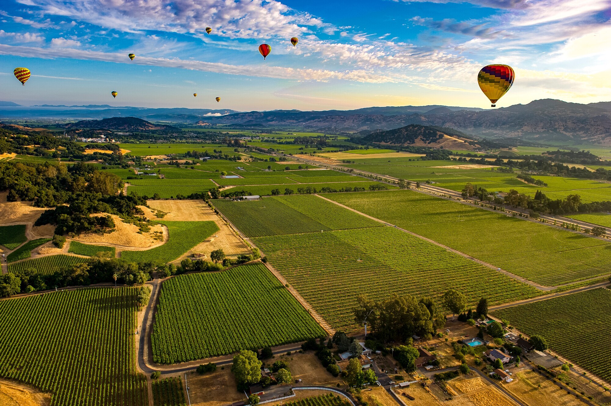 Heißluftballons fliegen über Weinanbaugebiet