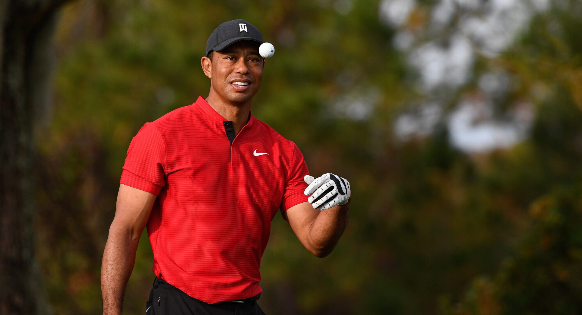 Golfprofi Tiger Woods spielt mit einem Golfball Golfprofi Tiger Woods spielt mit einem Golfball