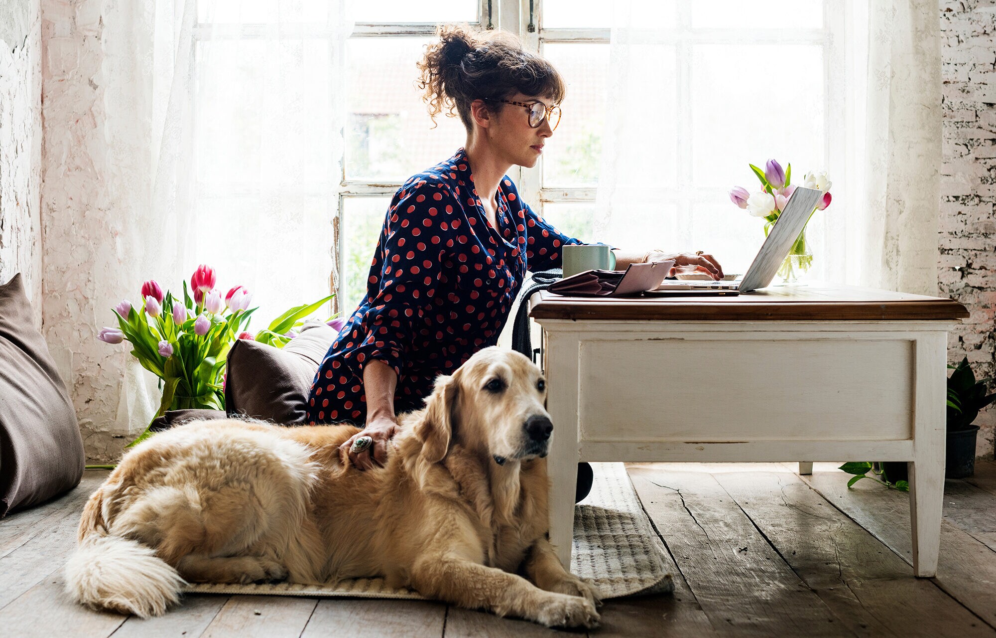 15_inline_image_home-office-typen_2 Woman working at home with her dog