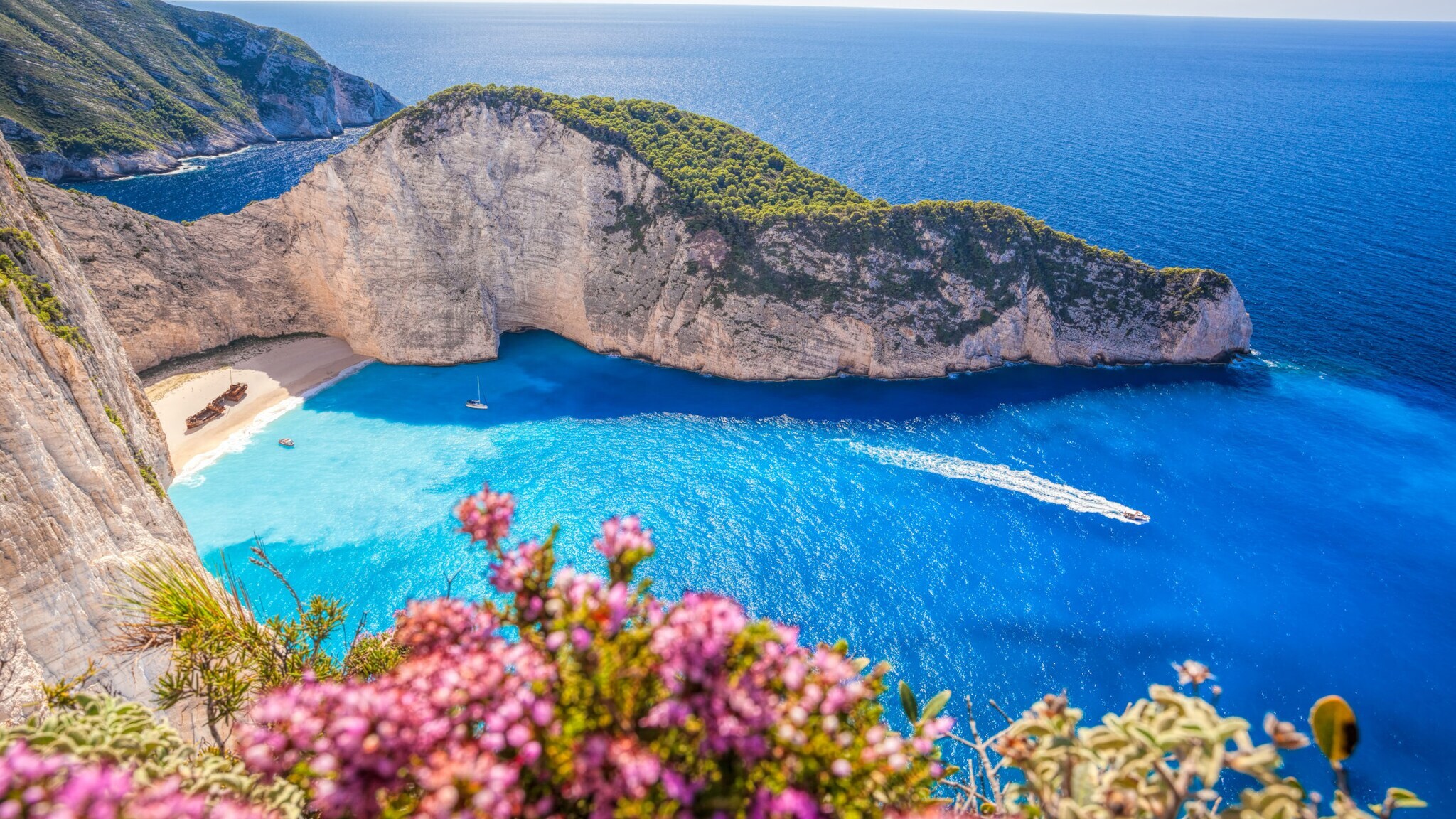 Bucht mit weißem Sandstrand und gestrandeten Schiffsrumpf, umgeben von steilen Klippen und blauem Meer, violette Blumen im Vordergrund