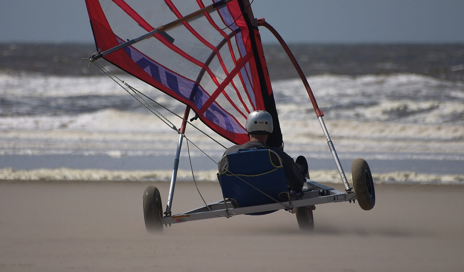 Die Rückseite eines Strandseglers.