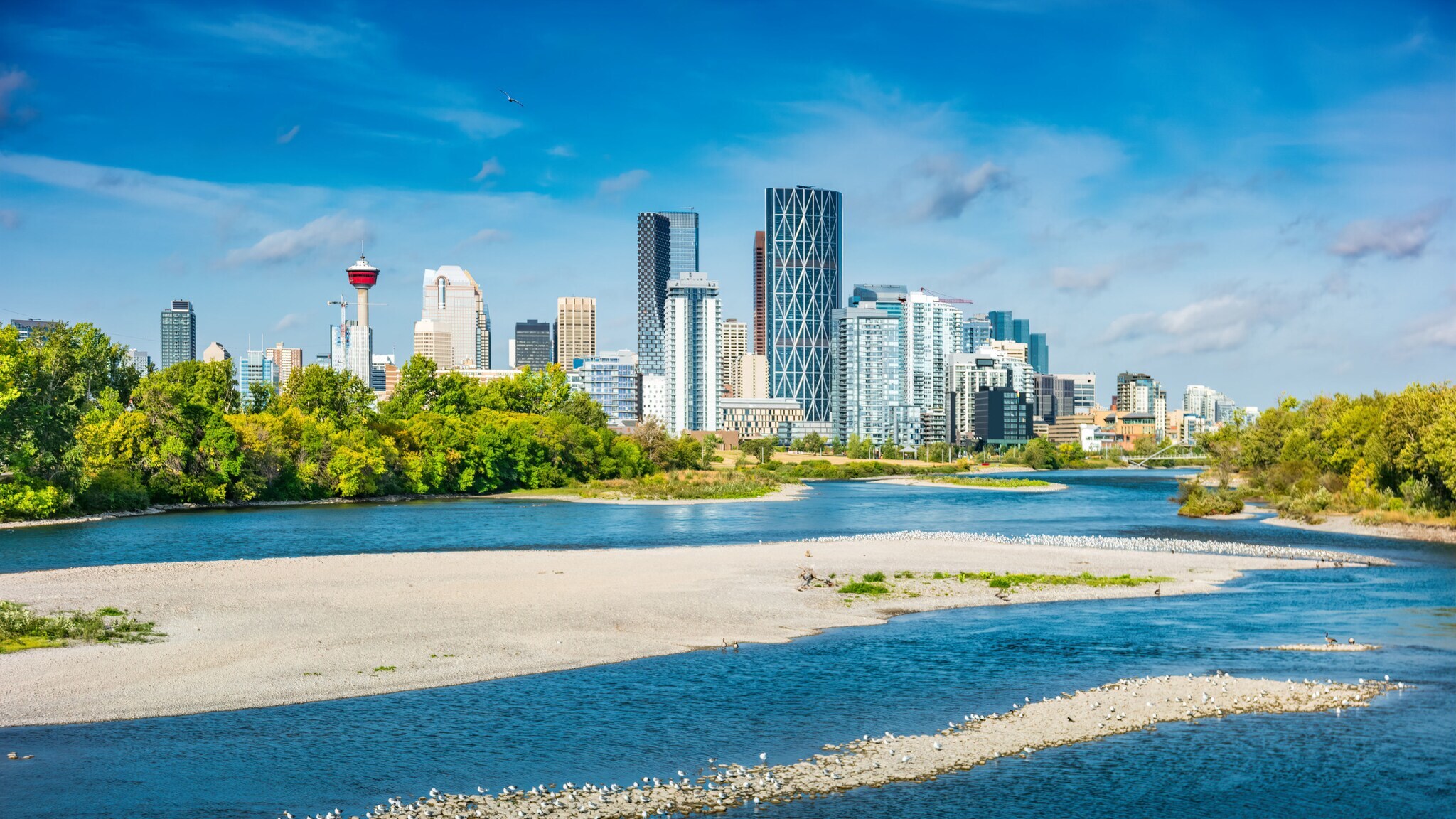 Skyline von Calgary mit Fernsehturm vor blauem Himmel, im Vordergrund Grünflächen und Sandbänke entlang eines flachen Flussufers.