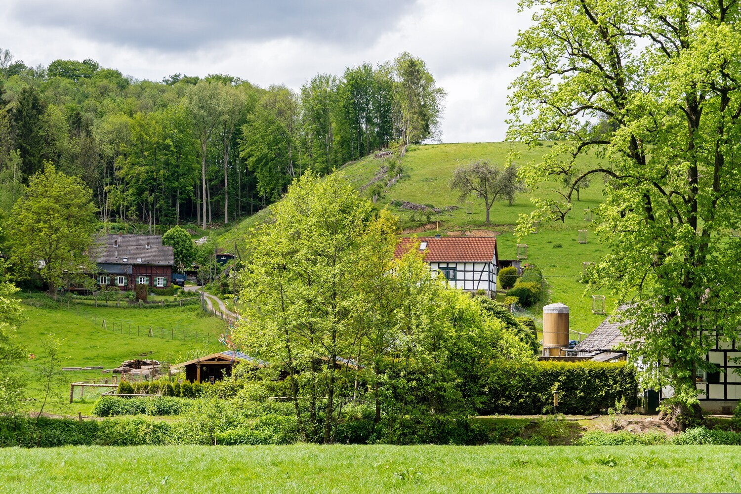 Grüne Landschaft bei Bergisch Gladbach mit Landhäusern