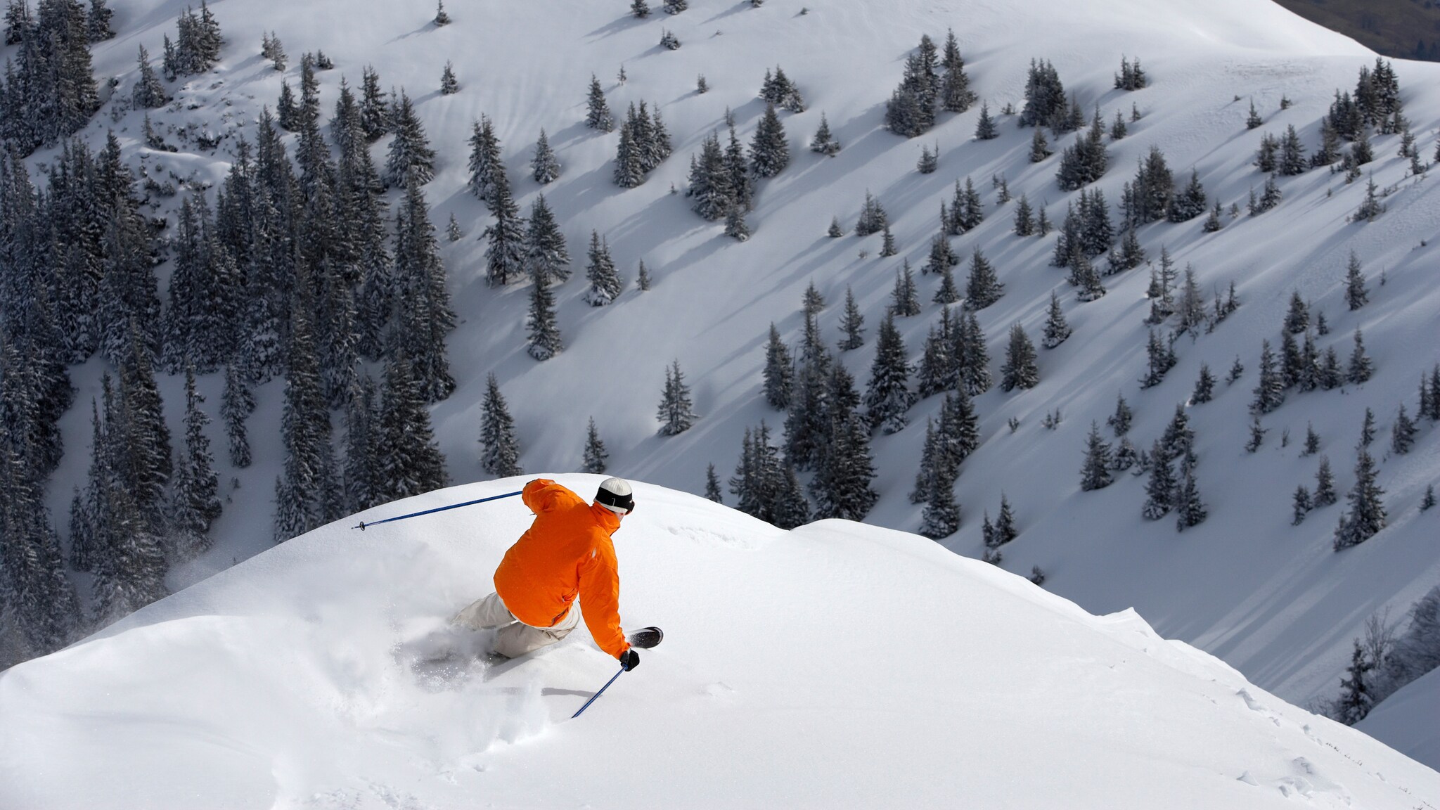 Rückansicht eines Skifahrers im Tiefschnee an einem Hang vor verschneiter Waldlandschaft. Rückansicht eines Skifahrers im Tiefschnee an einem Hang vor verschneiter Waldlandschaft.
