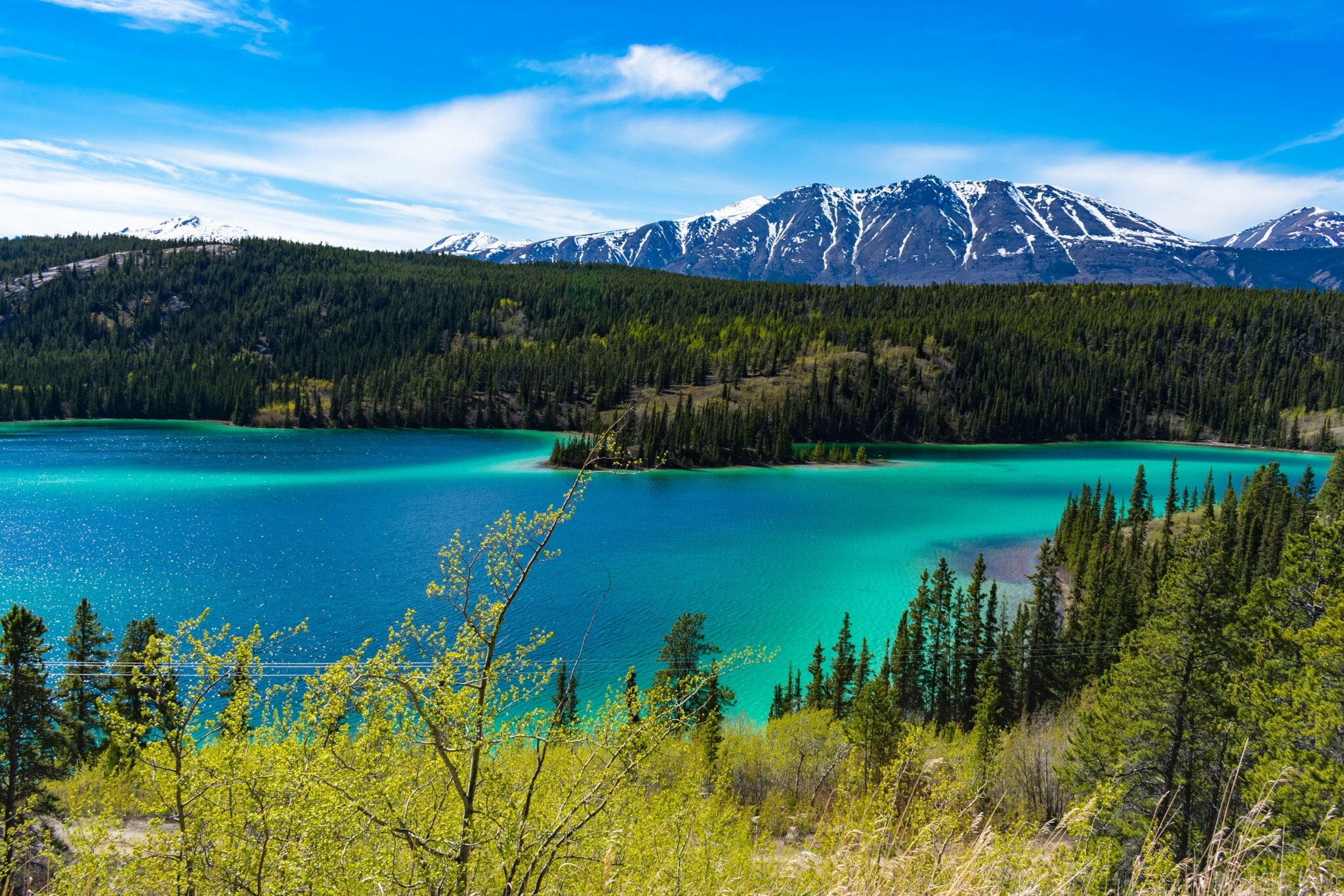 Blick auf den türkisfarbenen Emerald Lake im Yukon, mit grünem Nadelwald und schneebedeckten Bergen im Hintergrund. Blick auf den türkisfarbenen Emerald Lake im Yukon, mit grünem Nadelwald und schneebedeckten Bergen im Hintergrund.