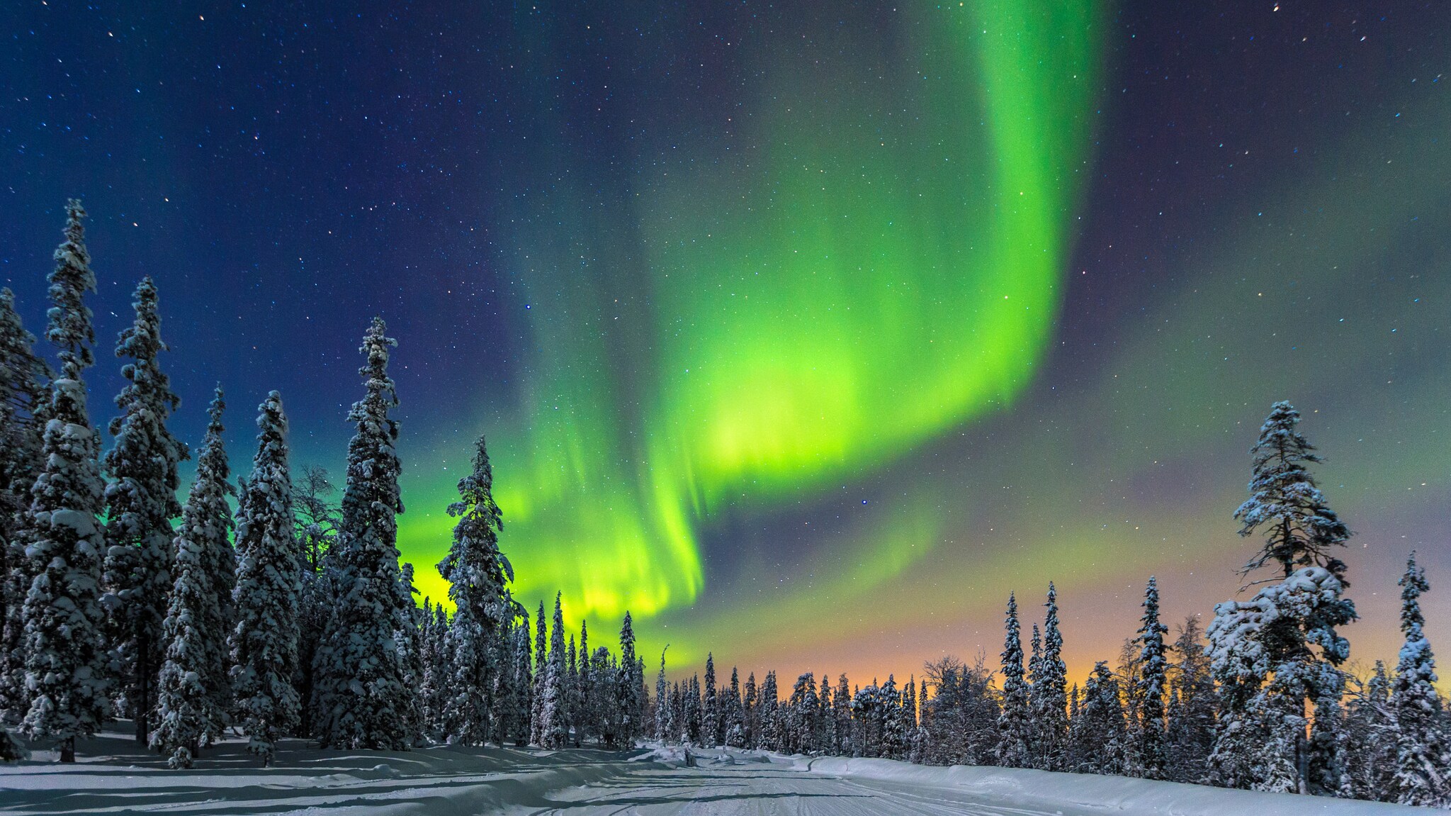 Grüne Nordlichter am Nachthimmel über schneebedecktem Wald und Straße in Finnland.