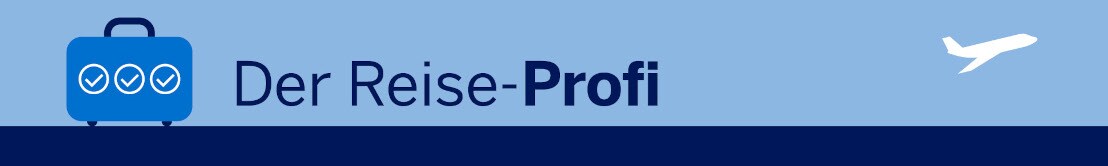 Geschäftsreisetyp Die Grafik zeigt den Schriftzug "Der Reise-Profi"