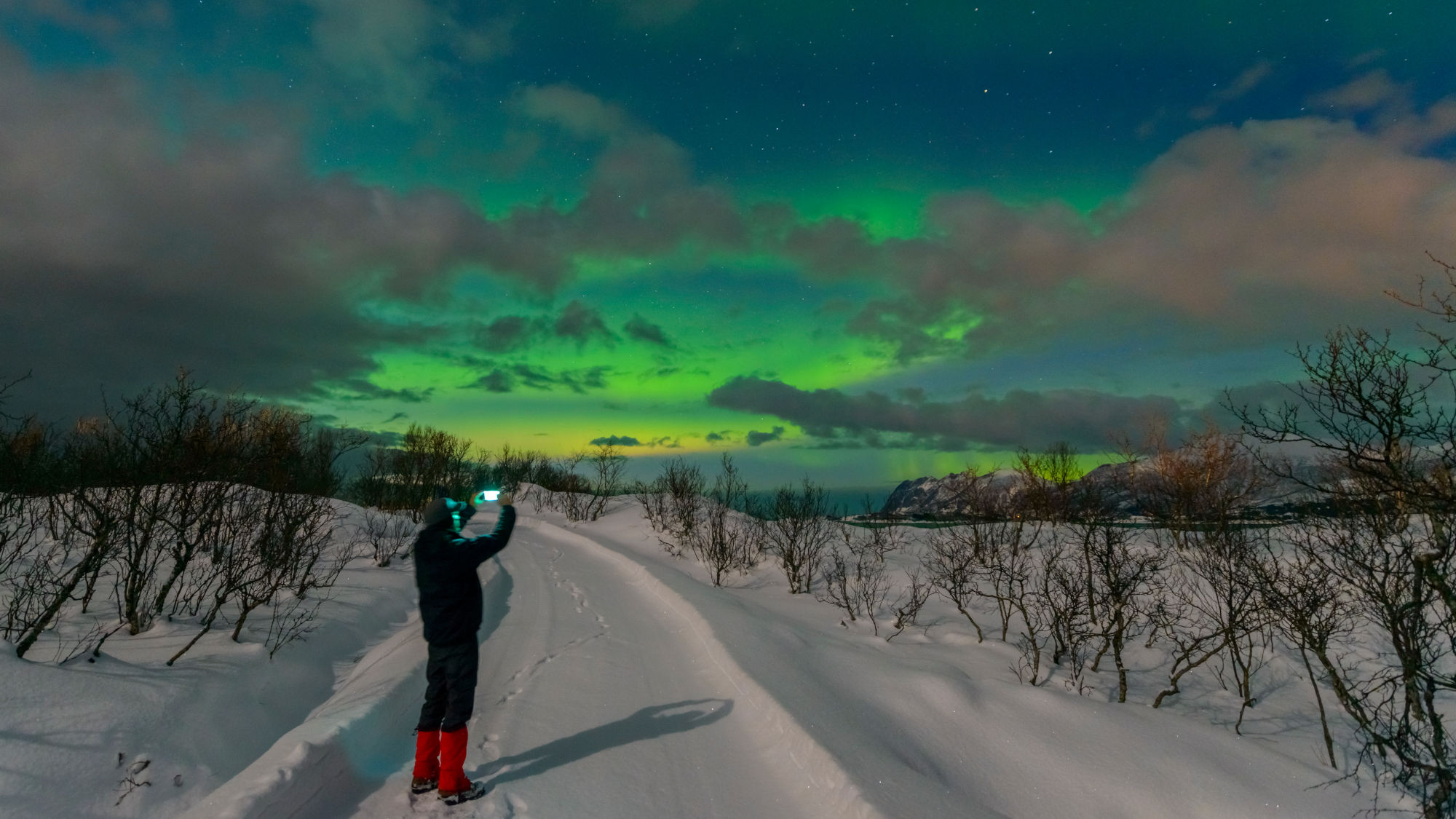 Person mit roter Hose steht auf verschneitem Weg und fotografiert grün leuchtende Nordlichter am Nachthimmel in Norwegen.