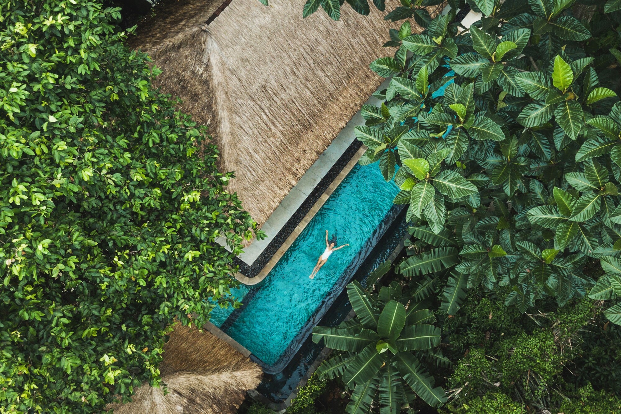 Eine Frau schwimmt in einem Pool an einer Villa in tropischer Umgebung, aus Vogelperspektive Eine Frau schwimmt in einem Pool an einer Villa in tropischer Umgebung, aus Vogelperspektive