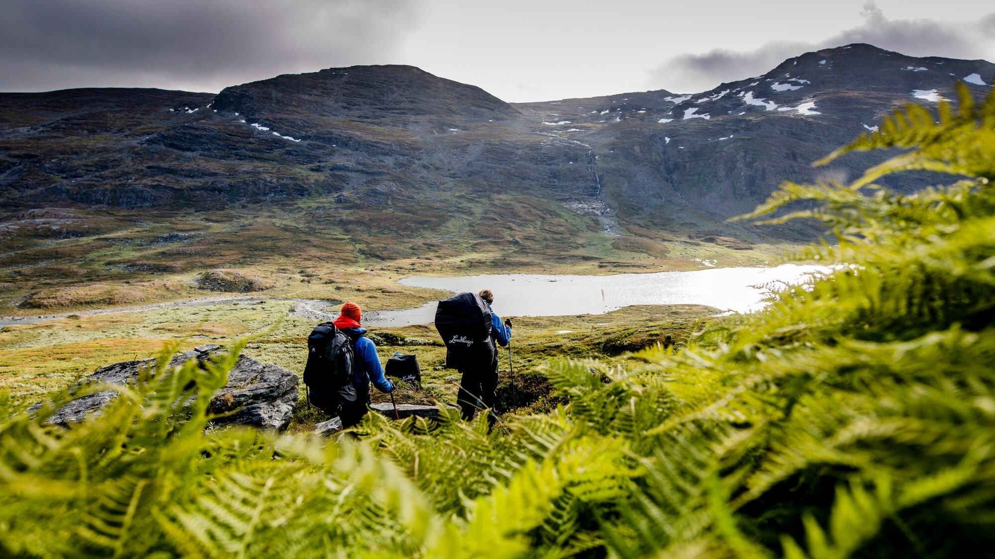 Zwei Wanderer mit Rucksäcken gehen durch eine grüne Farnlandschaft in den Bergen, im Hintergrund ein See und bewaldete Hügel. Zwei Wanderer mit Rucksäcken gehen durch eine grüne Farnlandschaft in den Bergen, im Hintergrund ein See und bewaldete Hügel.