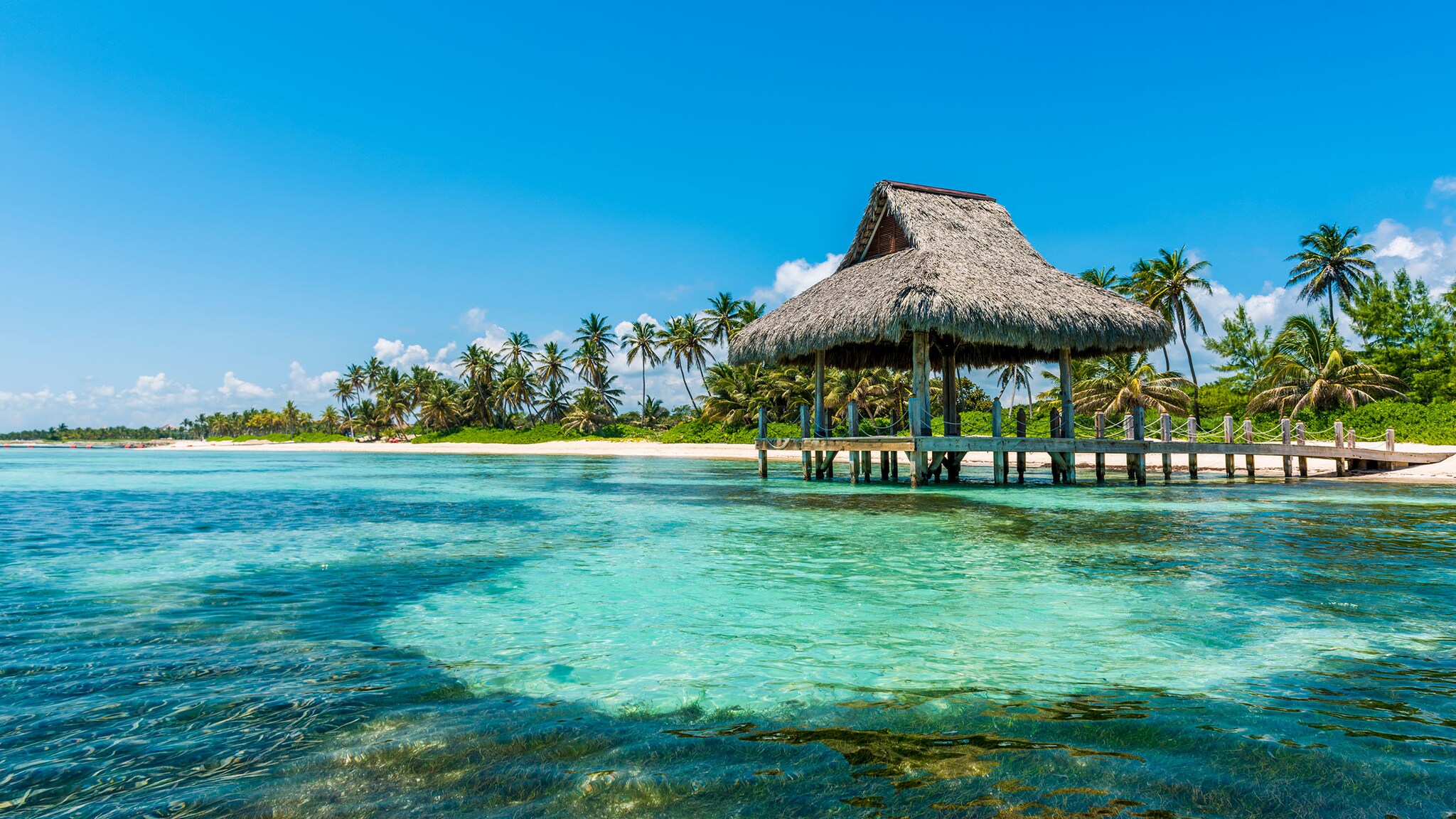 Überdachter Steg im flachen, türkisblauen Meer an einem weißen Sandstrand mit Palmen.