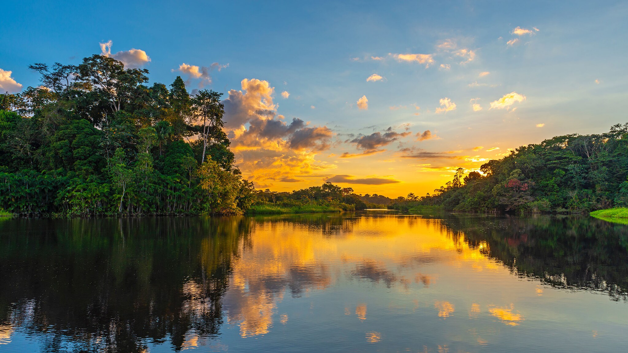 An einem großen Fluss stehen Bäumen, im Hintergrund geht die Sonne unter.