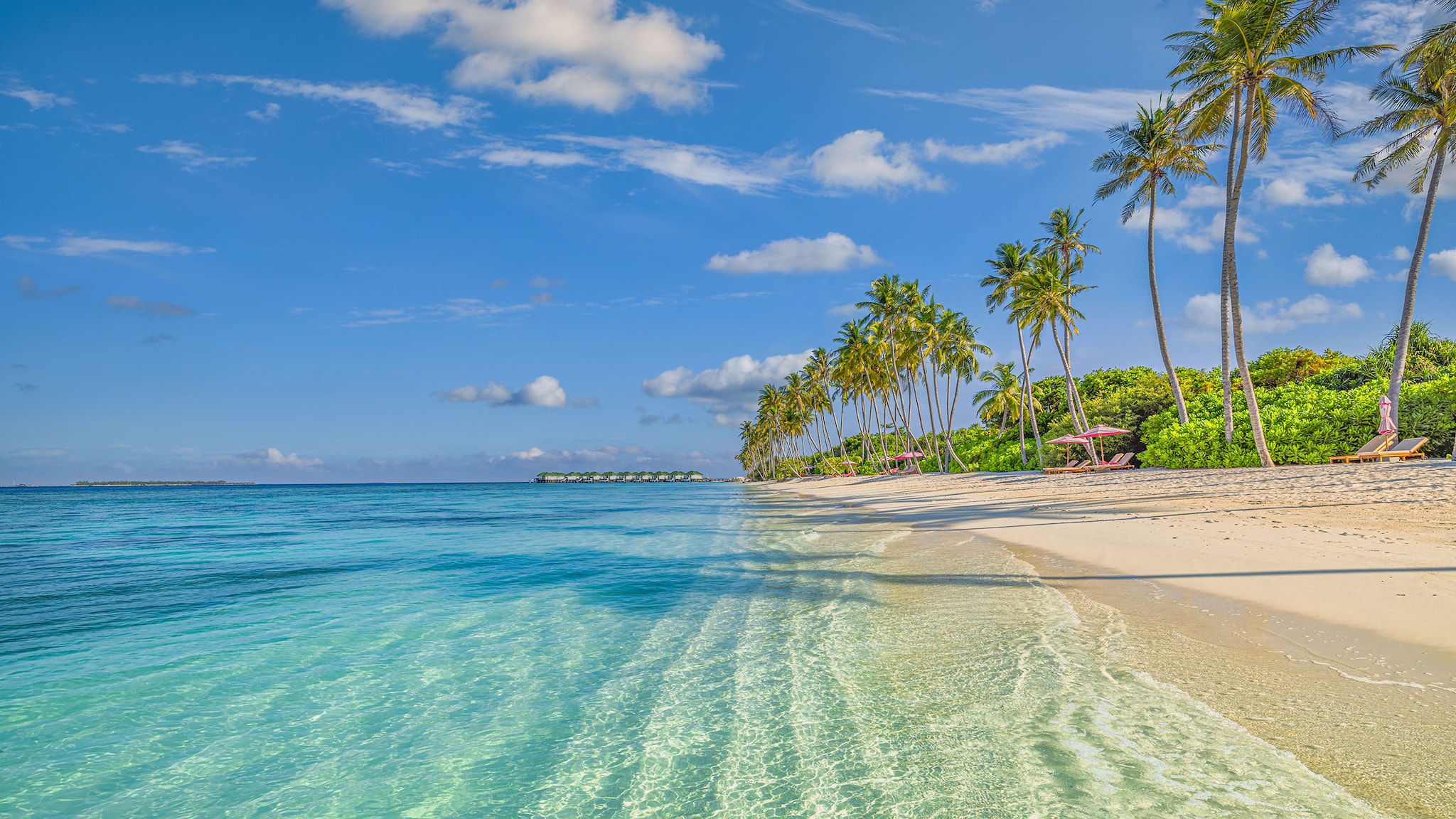 An einem Sandstrand mit blauem Meer stehen Palmen.