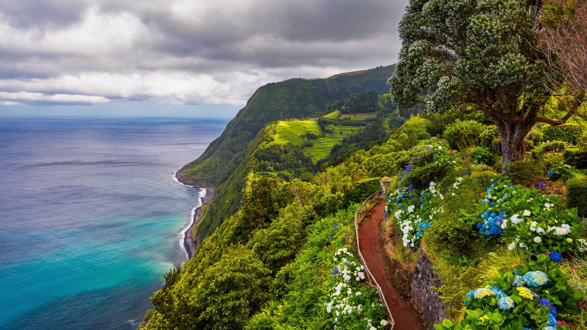 Steile Küstenlinie einer Azoreninsel, die mit ihrer grüner Landschaft und blauen Hortensien neben dem Meer aufragt.