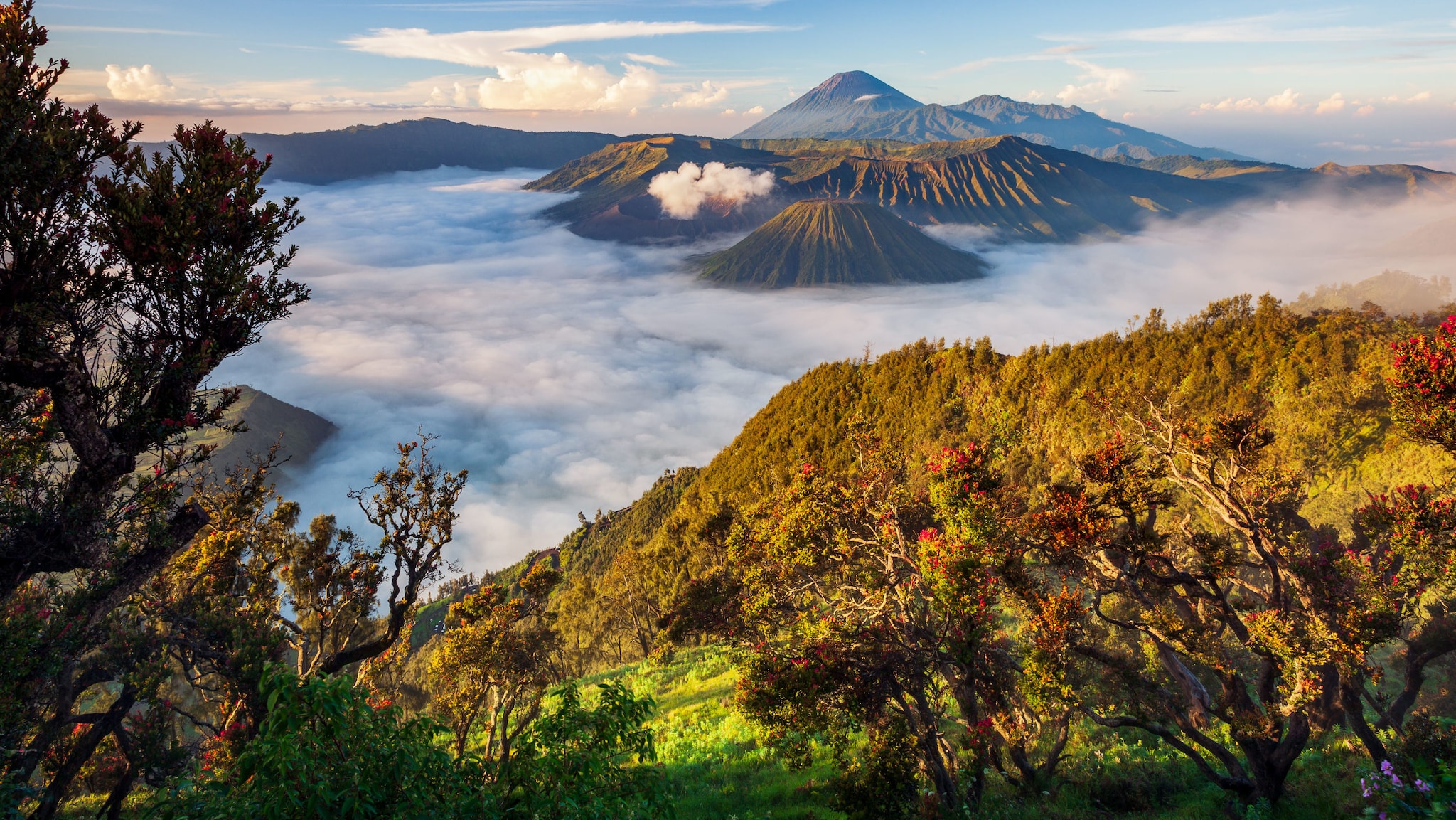 Blick auf grüne Vulkanlandschaft und ein im Nebel hängendes Tal in Indonesien.