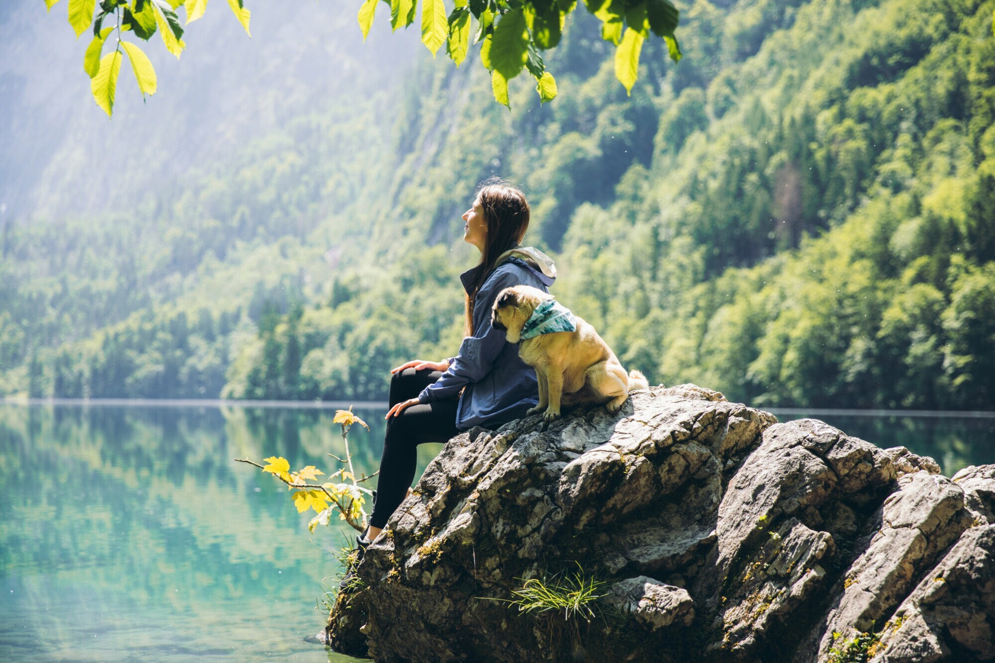 Eine Person und ein kleiner Hund sitzten zusammen auf einem Felsen vor einem See, der von Wald umsäumt ist