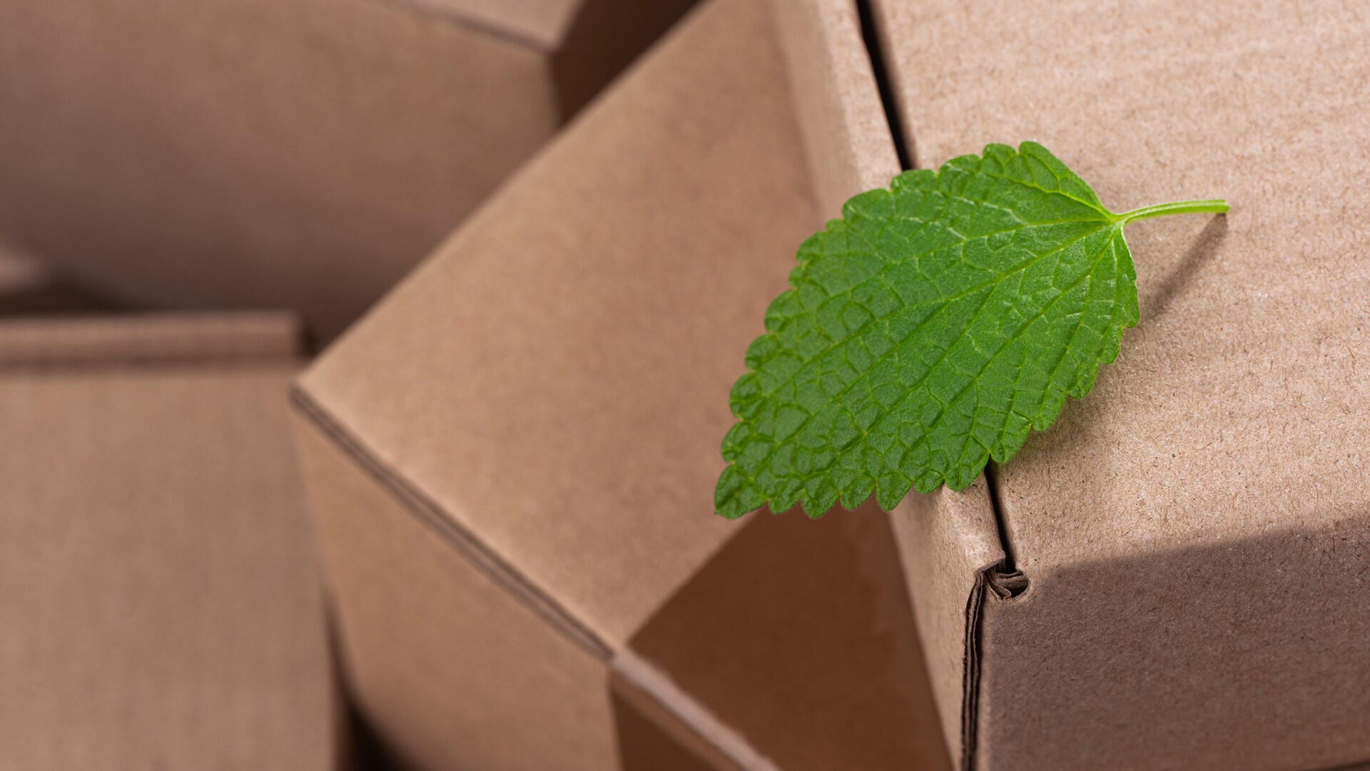 wachstum-dank-nachhaltigkeit-h wachstum-dank-nachhaltigkeit-