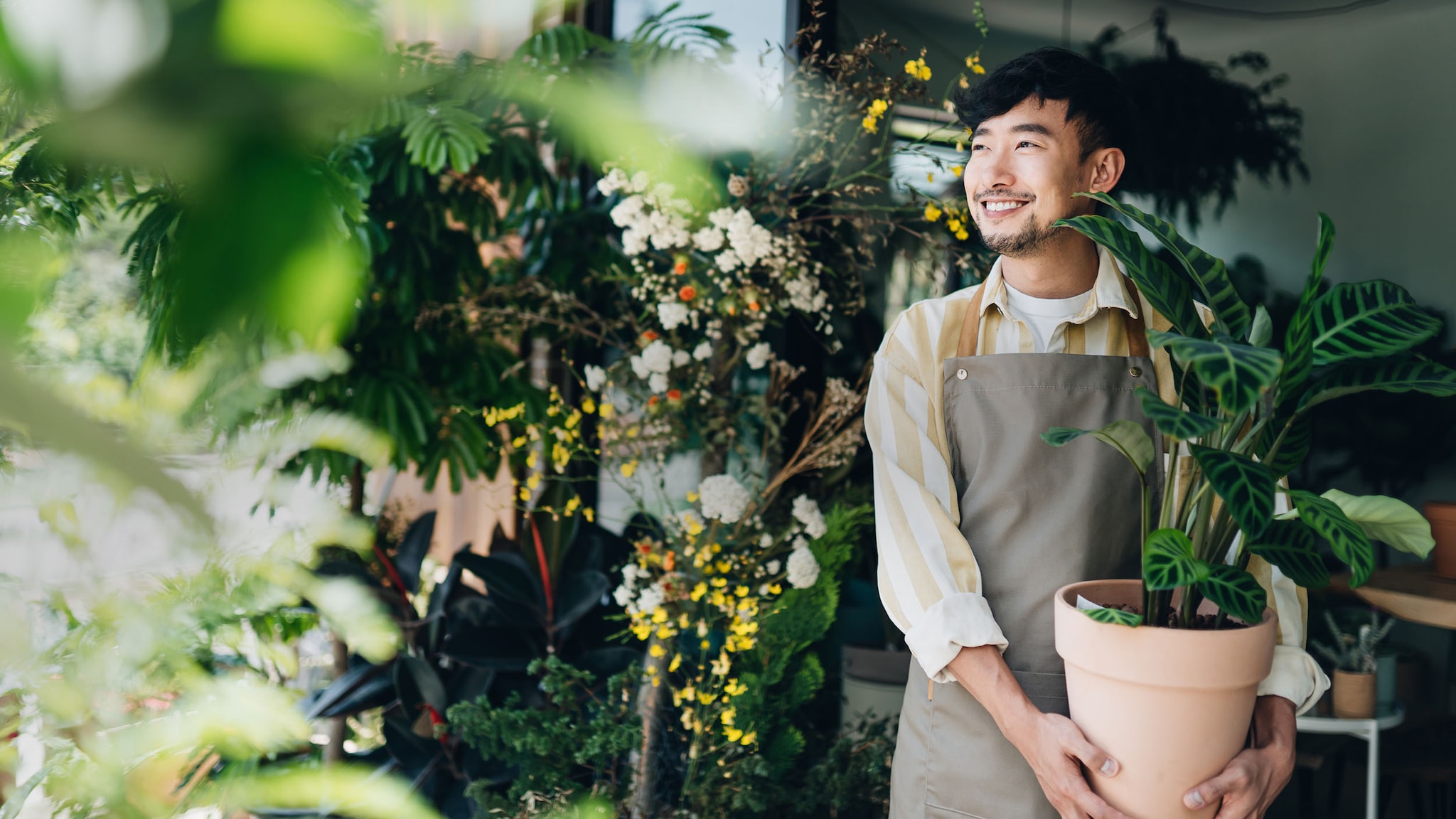 Ein lächelnder Mann mit Schürze hält in einem Geschäft mit Pflanzen einen Pflanzentopf in den Händen.