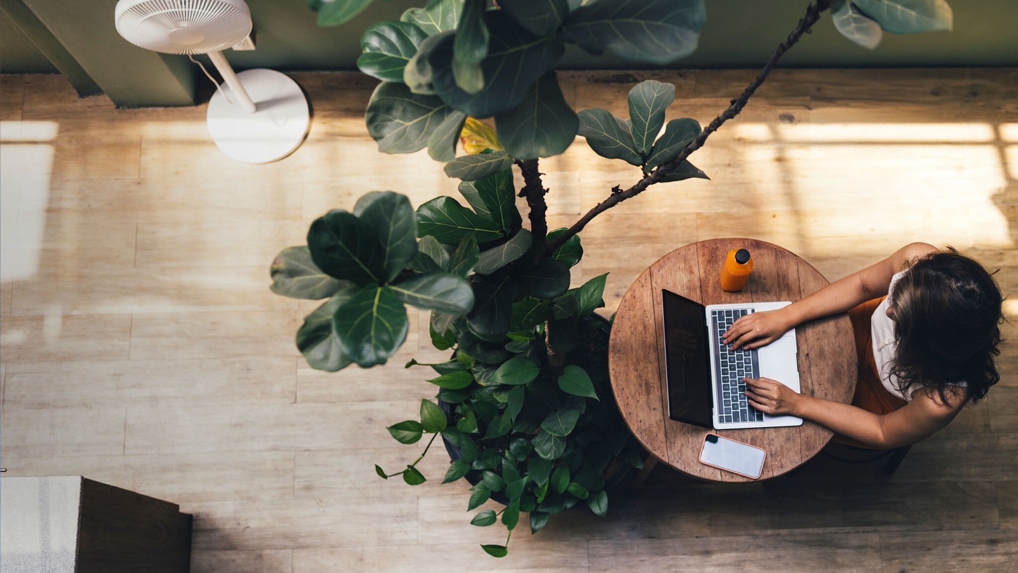 Draufsicht einer Frau, die in einem Raum mit großer Zimmerpflanze an einem Laptop auf einem runden Holztisch arbeitet.
