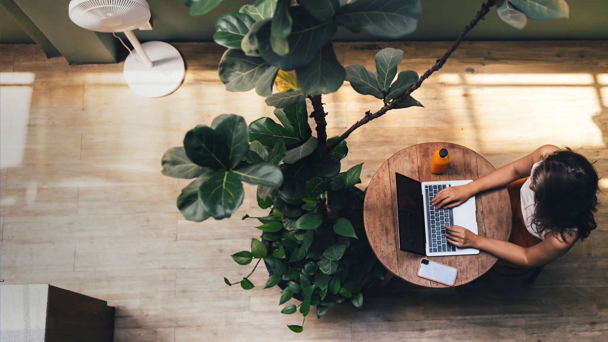 Draufsicht einer Frau, die in einem Raum mit großer Zimmerpflanze an einem Laptop auf einem runden Holztisch arbeitet.