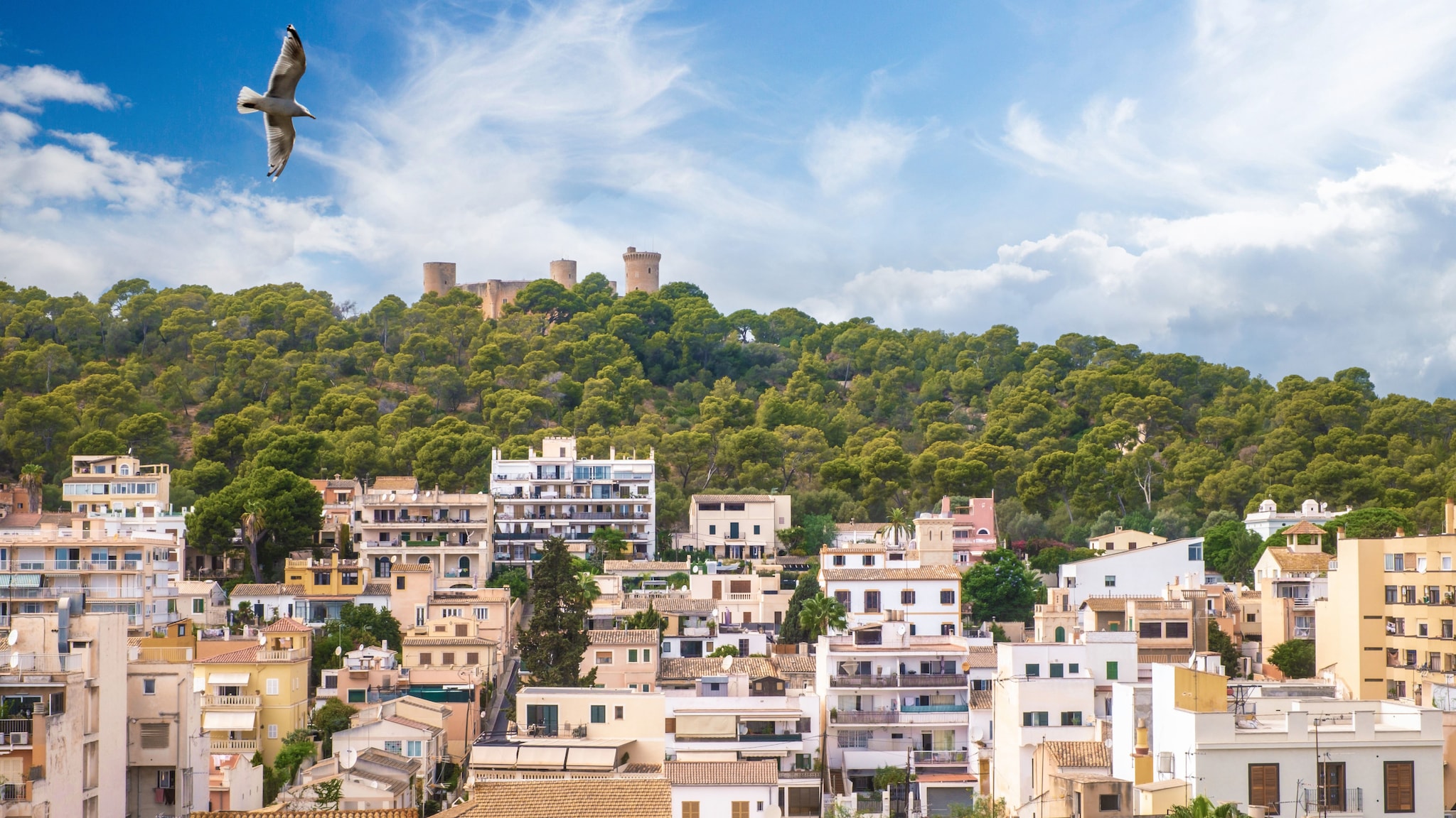 amex-magazin-geheimtipps-palma-burg-baeume- Ortschaft aus sandfarbenen Häusern an einem bewaldeten Hügel mit Burganlage.