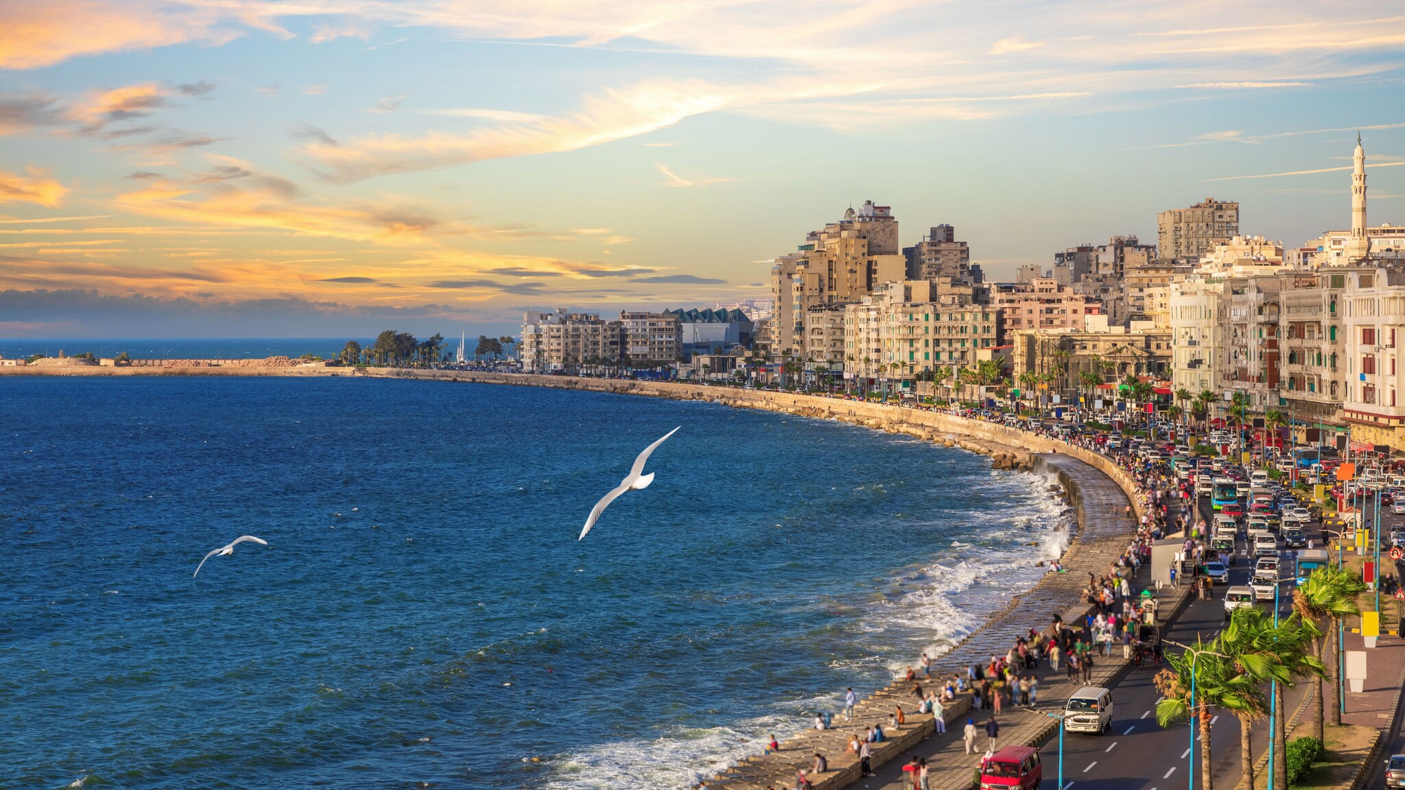 Panorama von Alexandria mit belebter Straße am Meer im warmen Sonnenlicht.