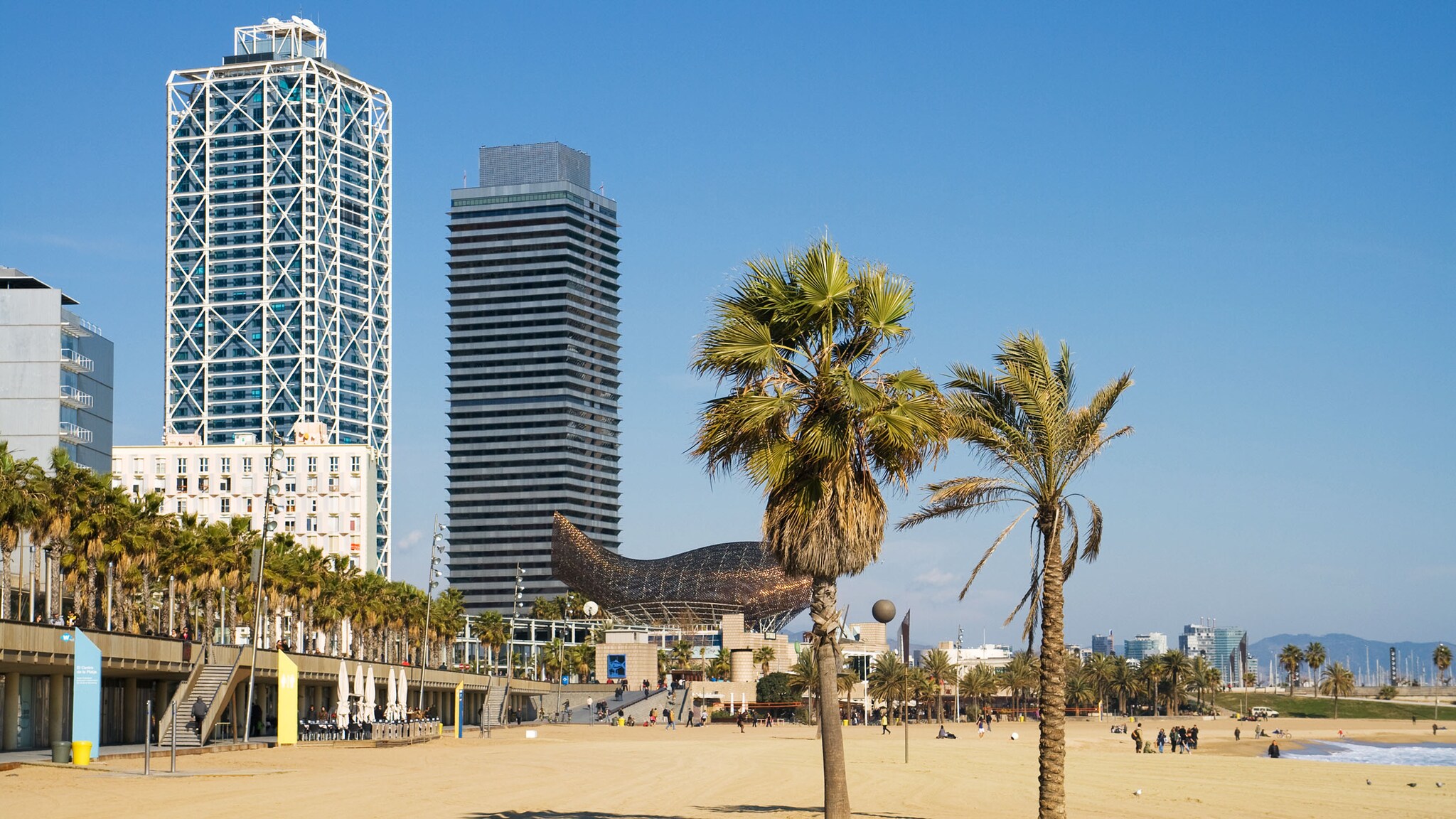 Zwei schmale Hochhäuser am Stadtstrand von Barcelona mit Palmen und Fisch-Skulptur unter blauem Himmelbei Sonnenschein..