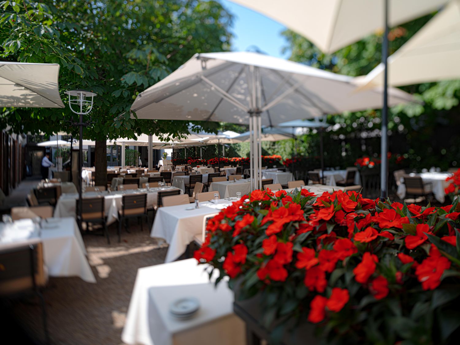 Die Sommerterrasse des Restaurant Eckel in Wien