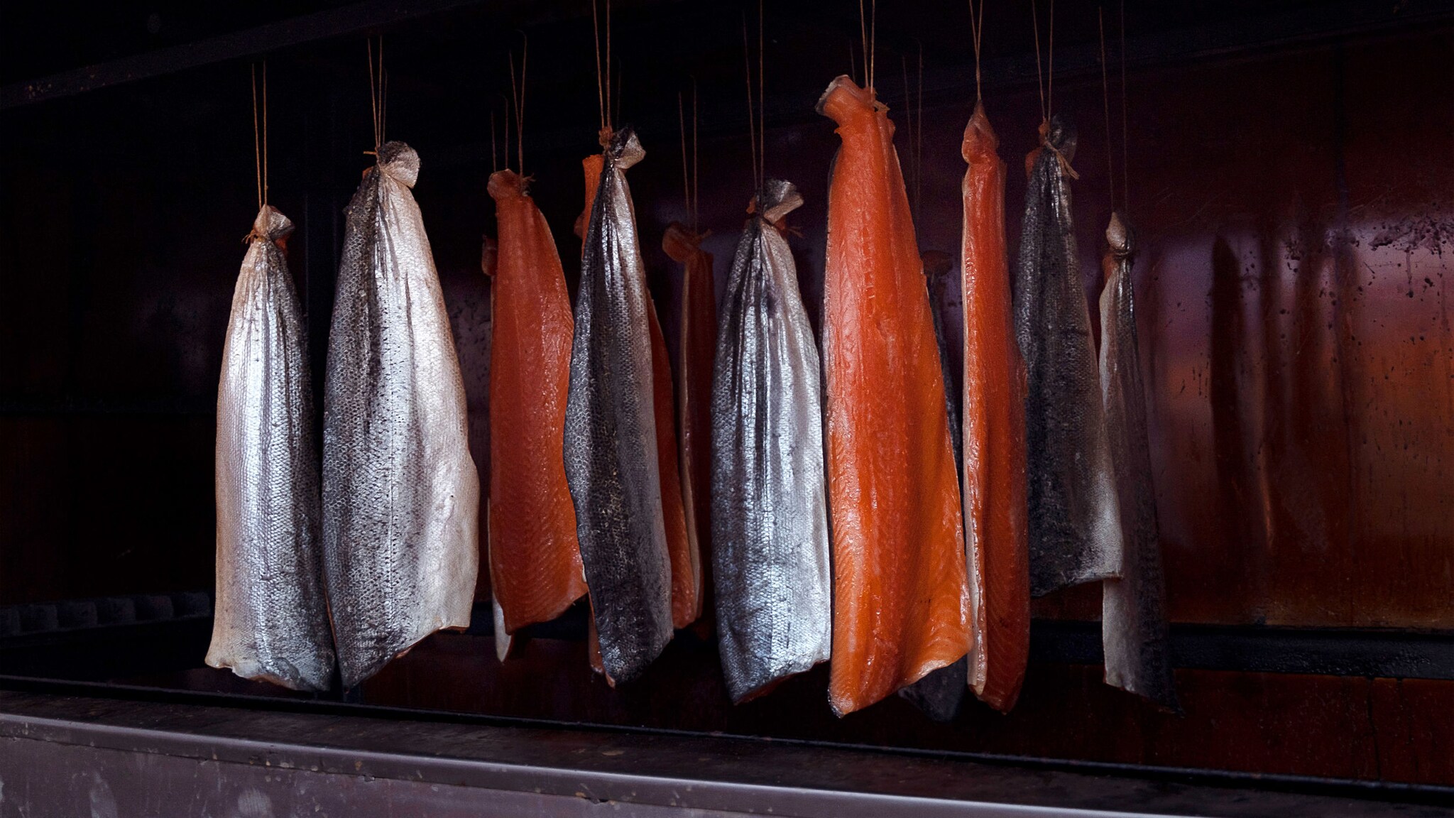 Mehrere hängende Stücke Lachsfisch in einem Räucherofen.