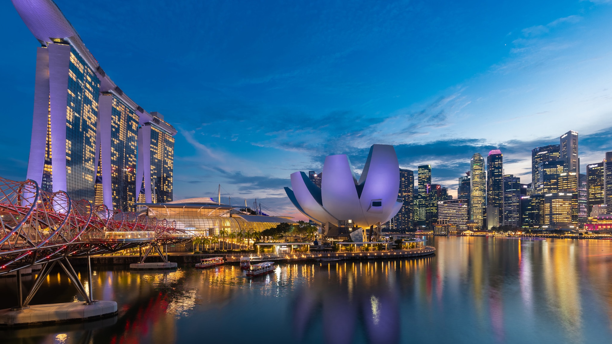 Skyline von Singapur mit beleuchteten Hochhäusern und einem Gebäude in Blumenform am Wasser bei Dunkelheit.
