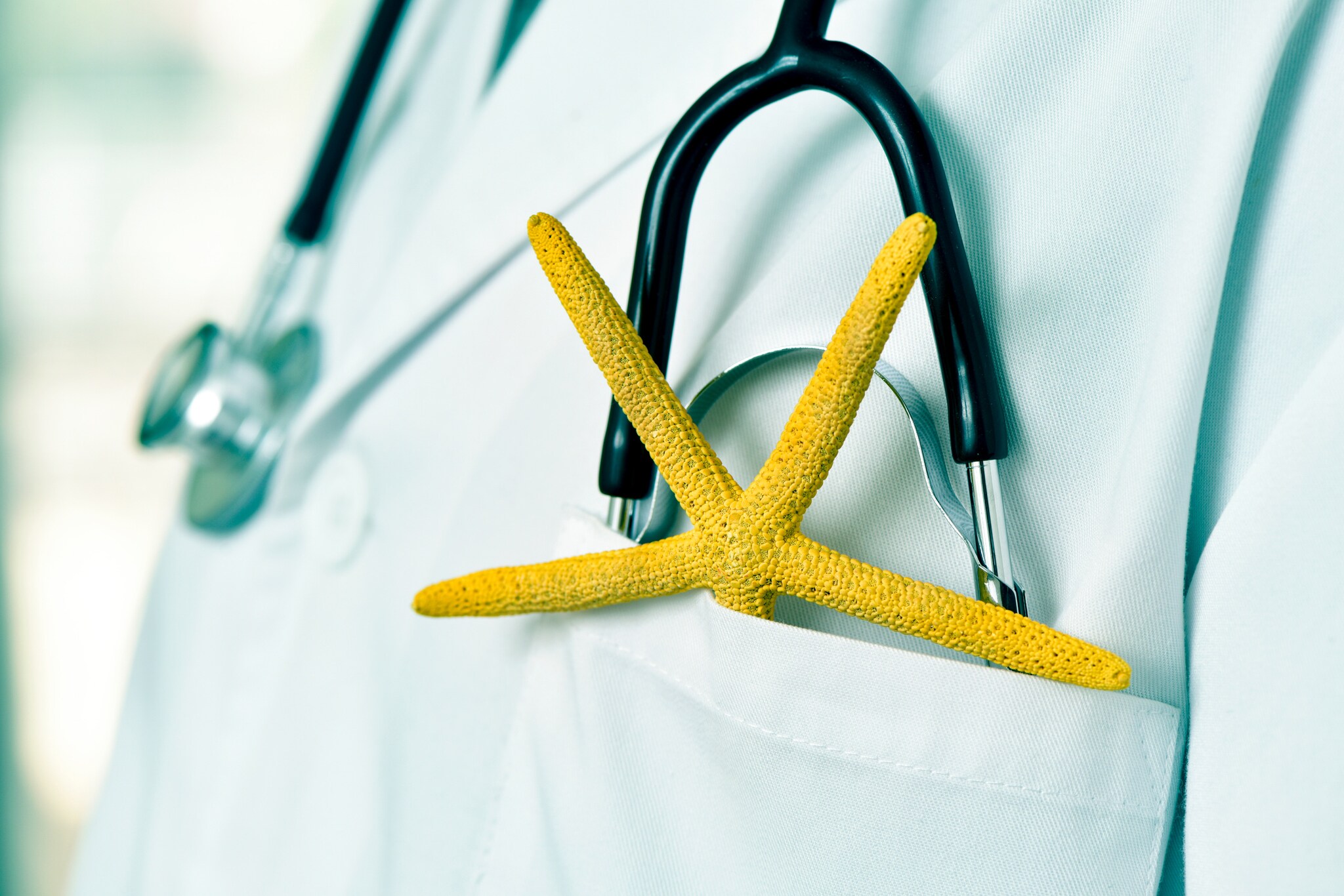 Close-up eines Mannes mit Arztkittel, in dessen Tasche ein Stethoskop und ein Seestern steckt.