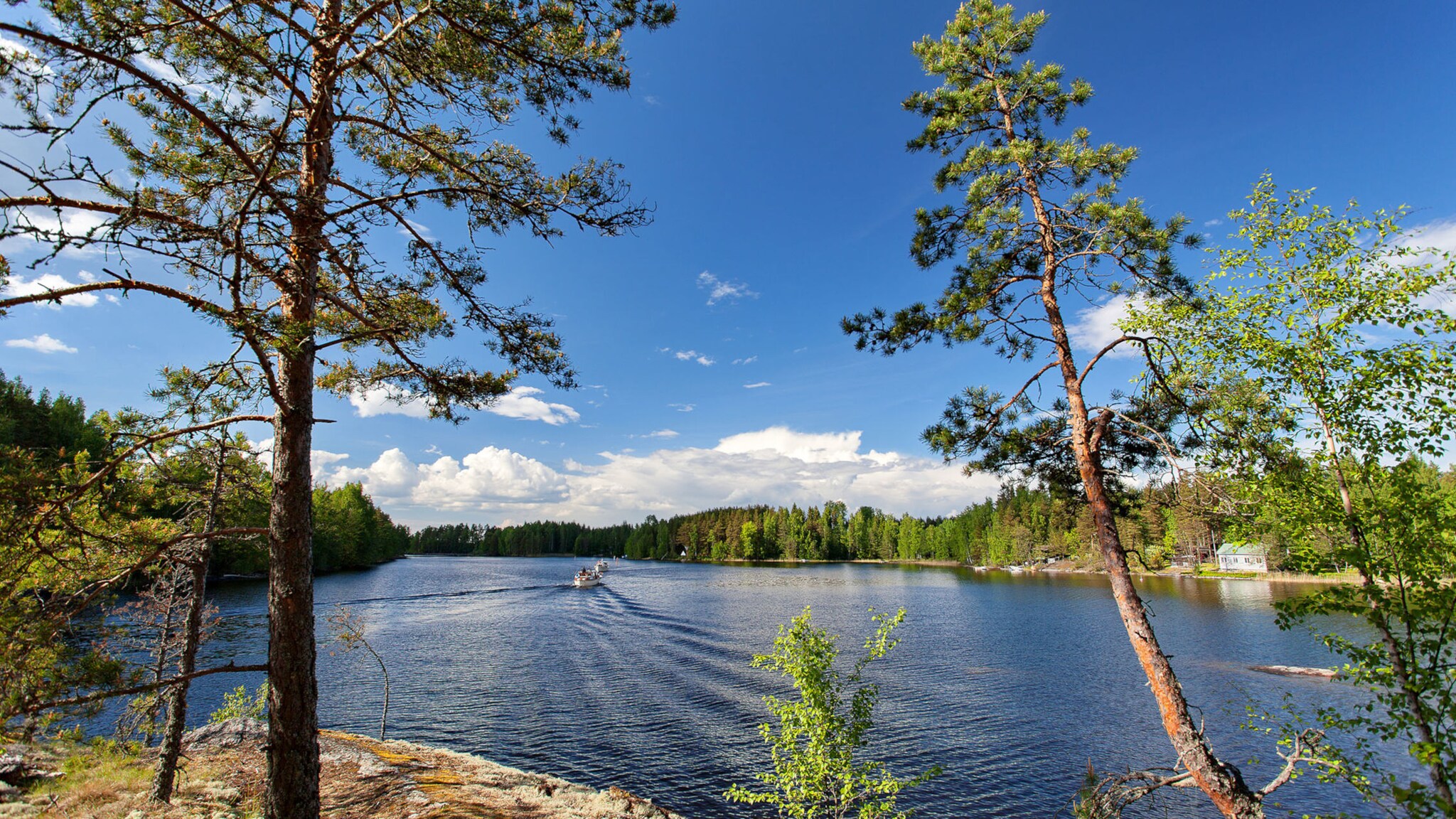 Auf einem See fährt ein Boot, am Ufer wachsen Bäume.